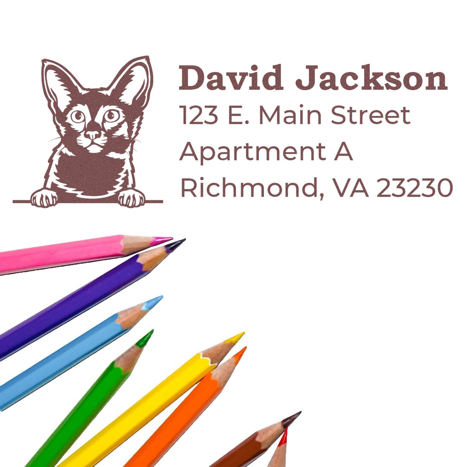 Self-Inking Javanese Custom Address Stamp with a cat design, featuring the name David Jackson and a colorful set of pencils on a white background.