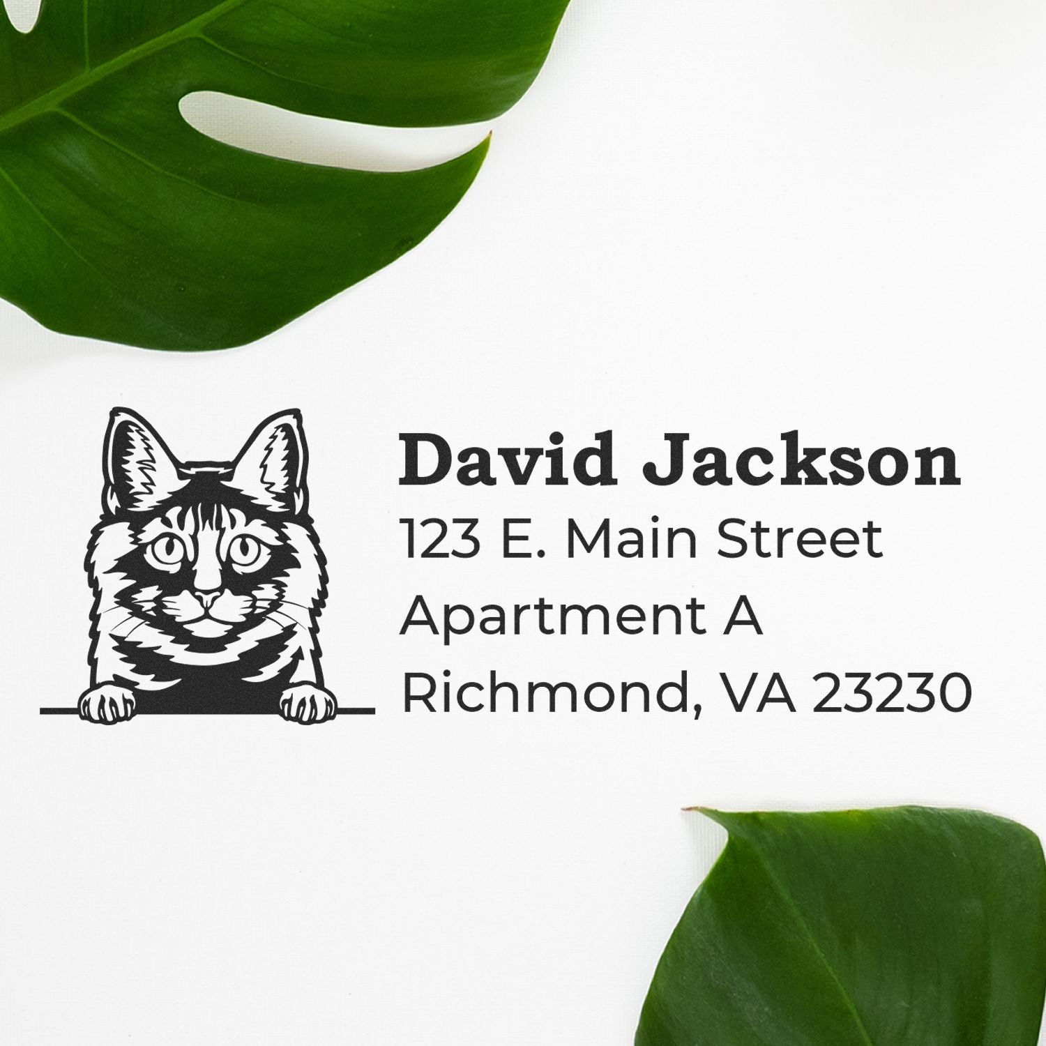 Slim Pre-Inked Kurilian Bobtail Peeking Cat Return Address Stamp on white paper with green leaves. Features a cat illustration above the address text.