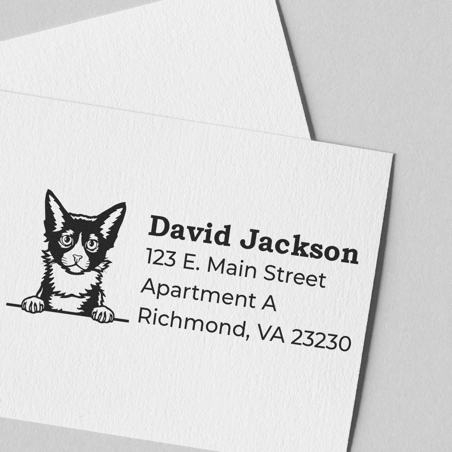 PSI Pre-Inked Peeking LaPerm Cat Personalized Address Stamp on white paper, featuring a cute cat illustration and sample address text. Perfect for adding a personal touch to your mail.