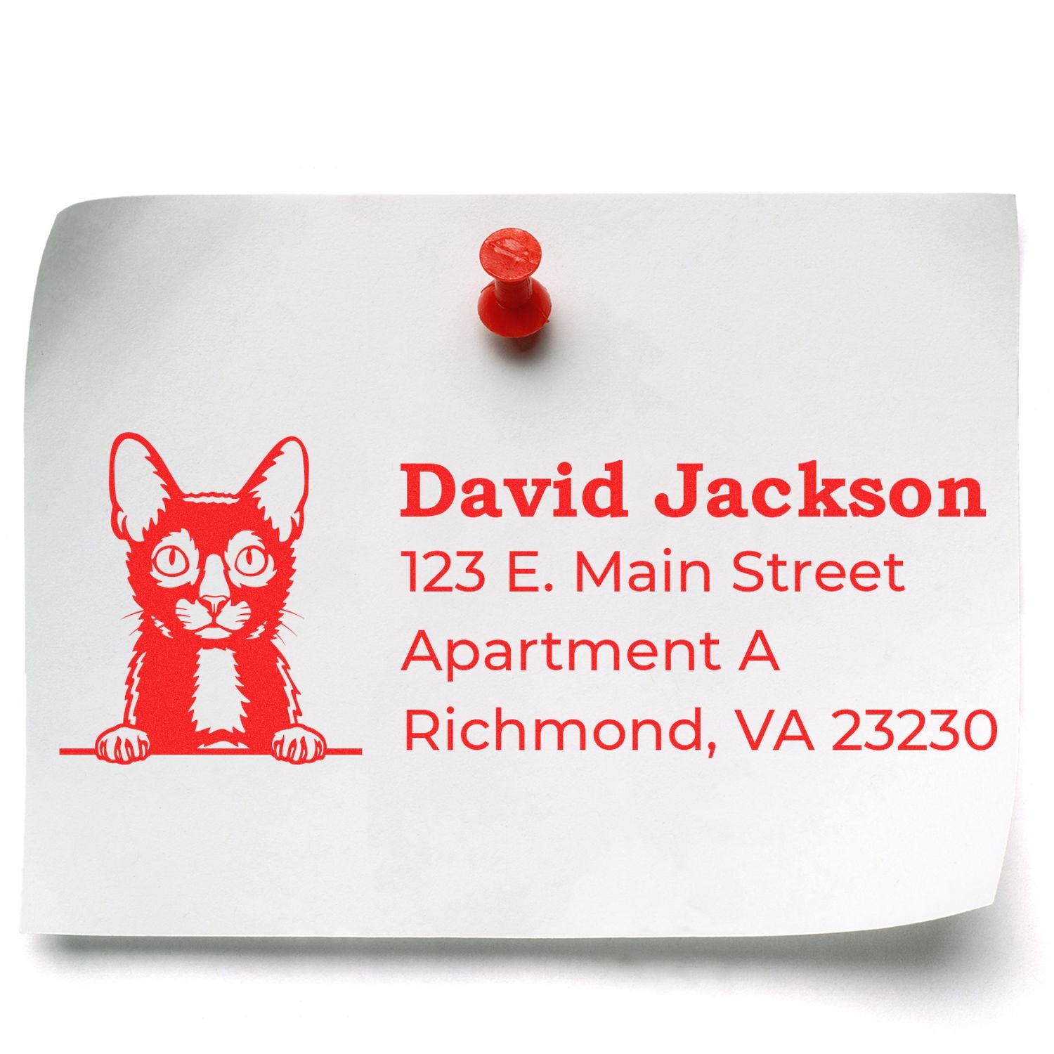 Slim Pre-Inked Lykoi Peeking Cat Return Address Stamp on white paper with red ink, featuring a cute cat illustration and sample address details, pinned with a red pushpin.