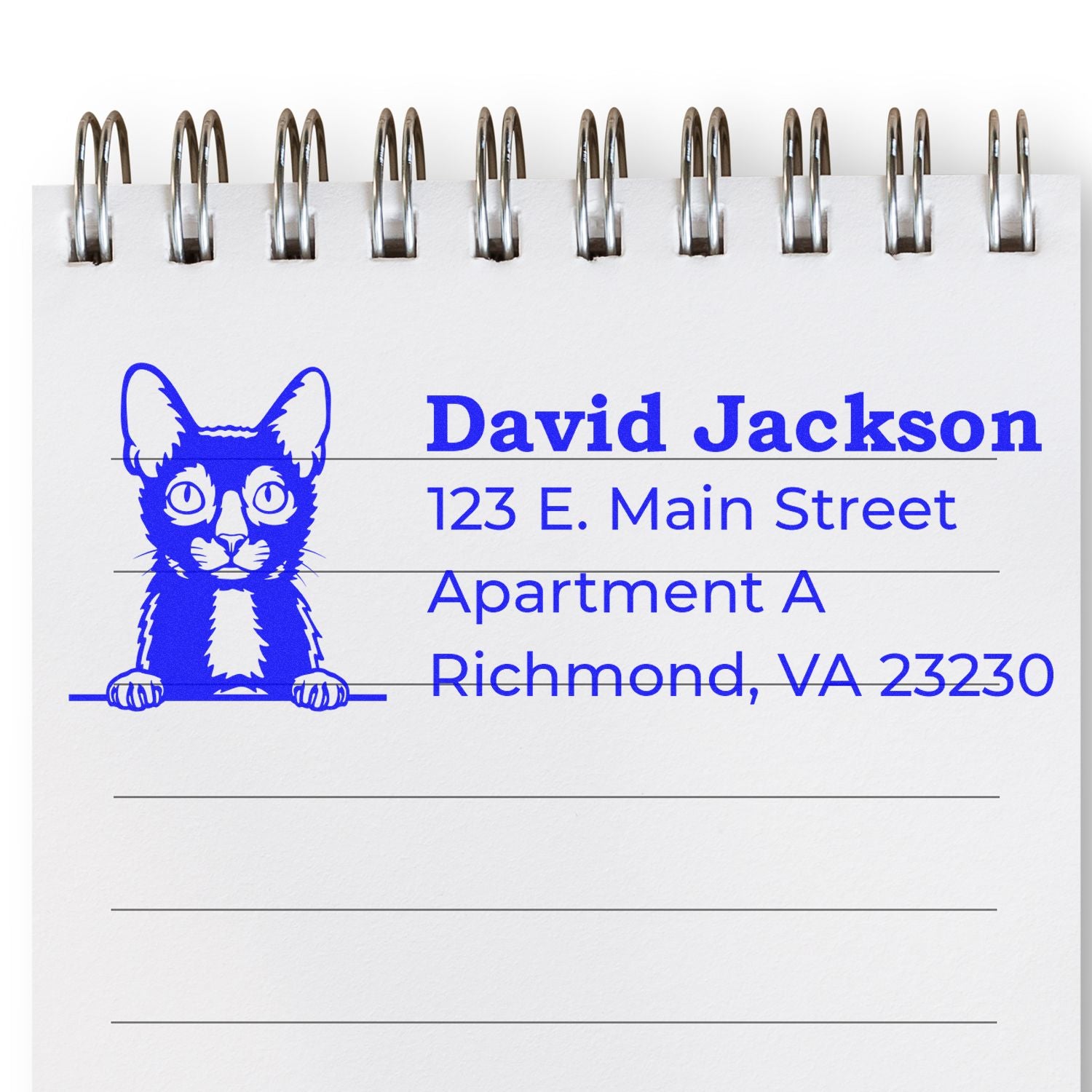 Wood Handle Lykoi Cat Address Stamp on notepad, featuring a blue Lykoi cat design with sample address: David Jackson, 123 E. Main Street, Apartment A, Richmond, VA 23230.