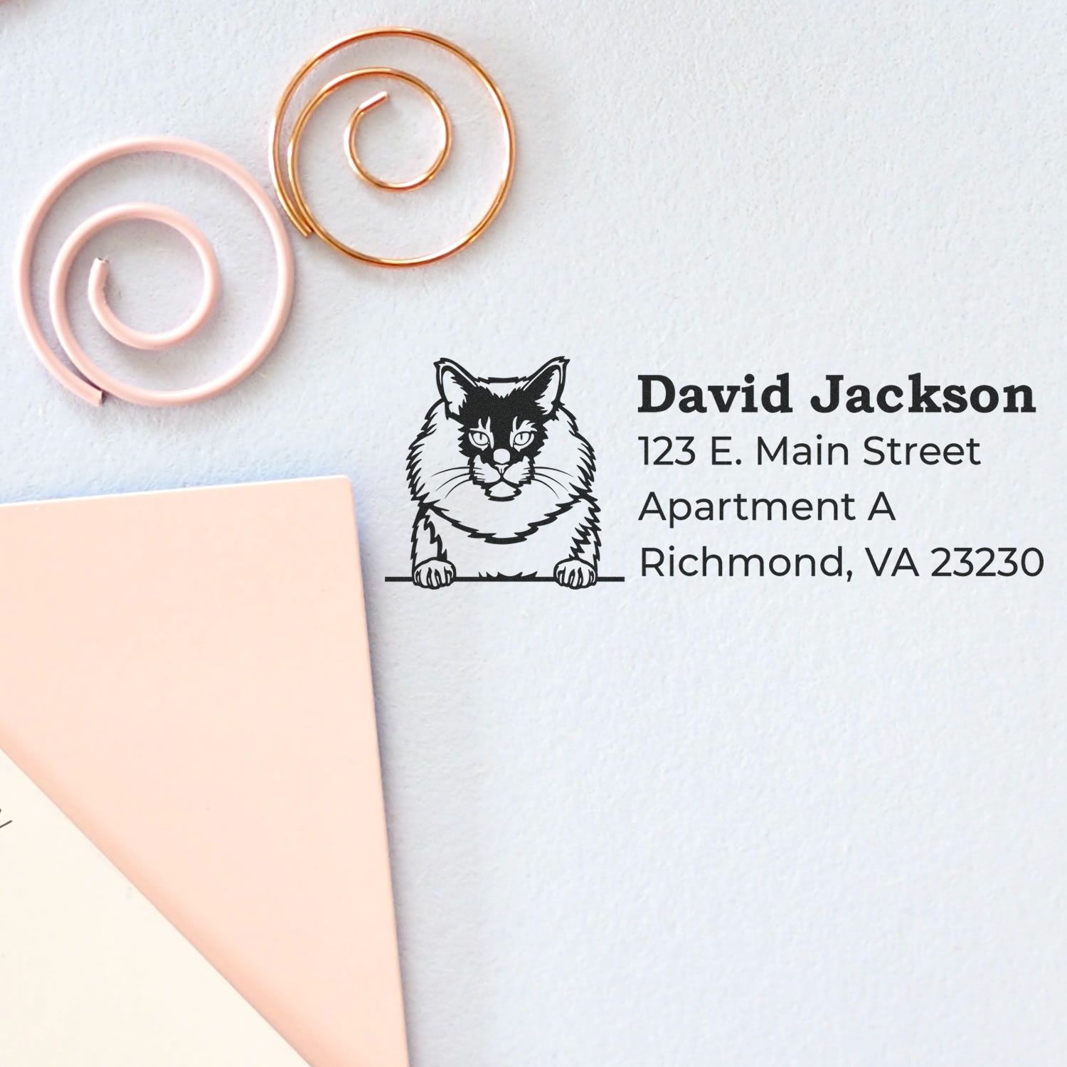 Wood Handle Maine Coon Cat Address Stamp on paper, featuring a Maine Coon illustration with sample address text. Nearby are pink and gold spiral paper clips and pastel-colored paper sheets.