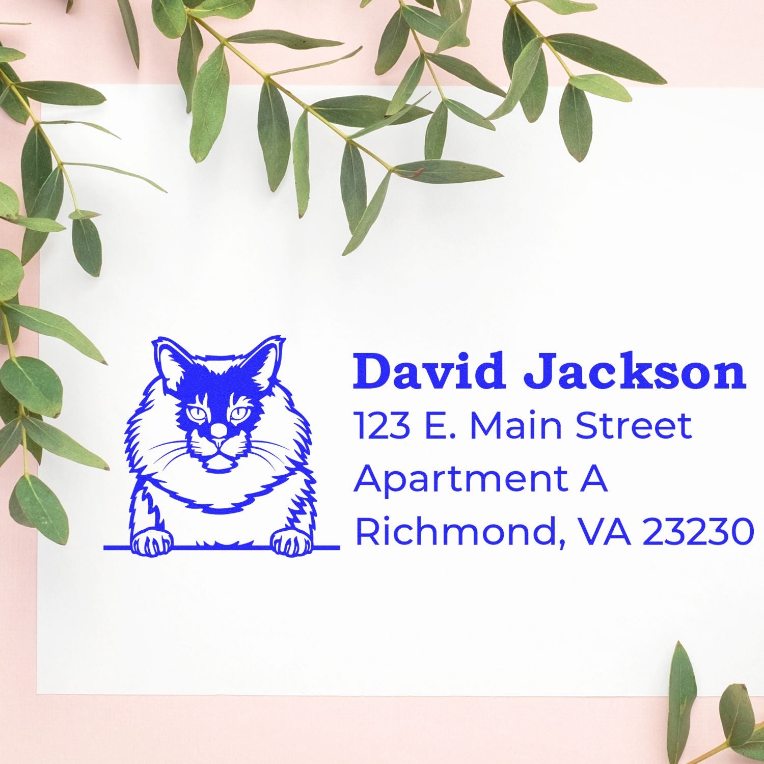 Wood Handle Maine Coon Cat Address Stamp on white paper, featuring a blue Maine Coon illustration and sample address. Surrounded by green leaves on a light background.