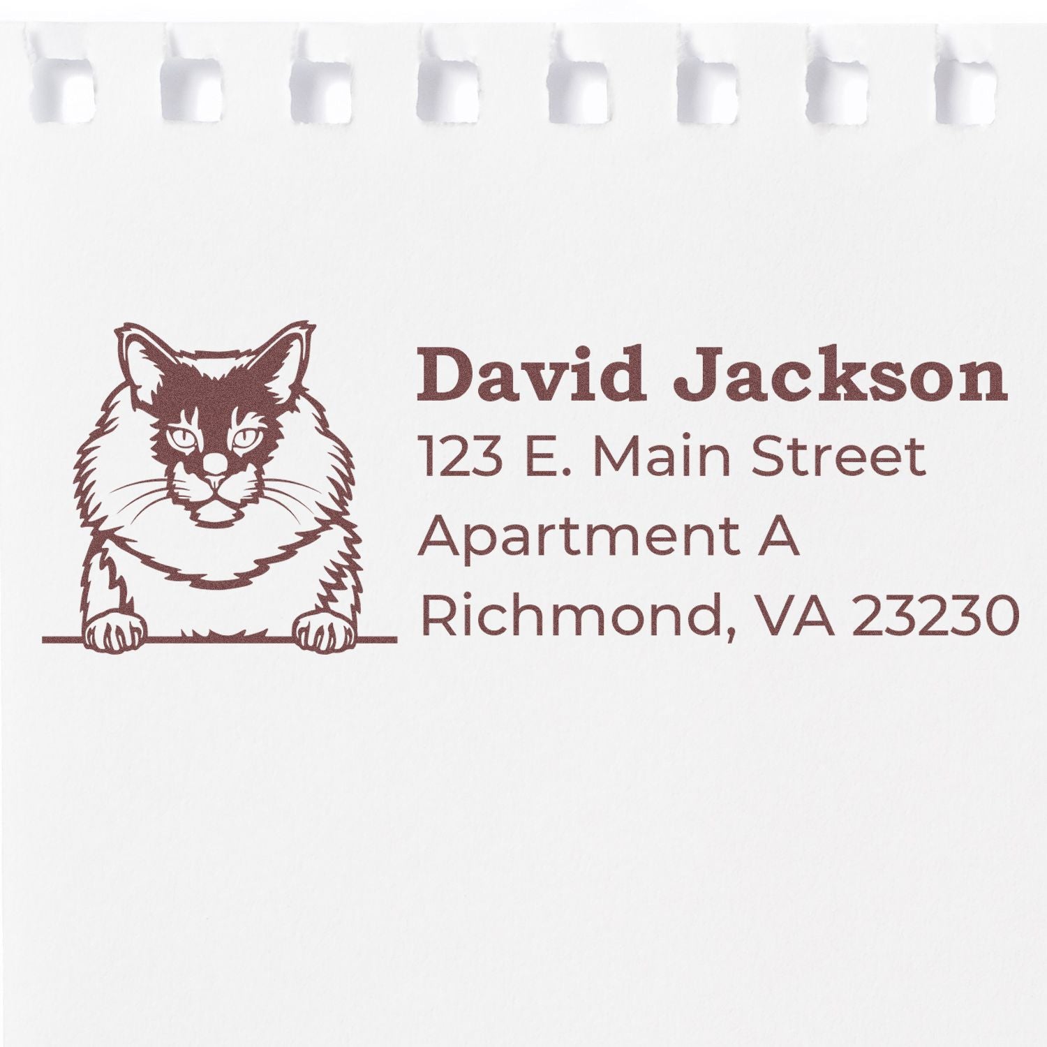 Slim Pre-Inked Maine Coon Peeking Cat Return Address Stamp on white paper, featuring a detailed cat illustration above a sample address in elegant font.