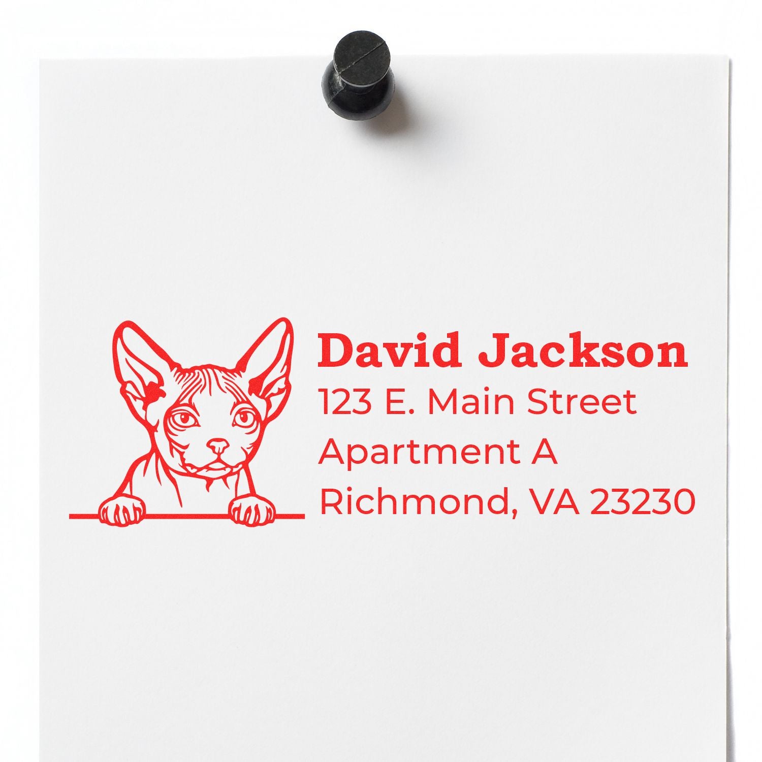 Slim Pre-Inked Minskin Peeking Cat Return Address Stamp on white paper, featuring a cute cat illustration above a sample address in red ink.