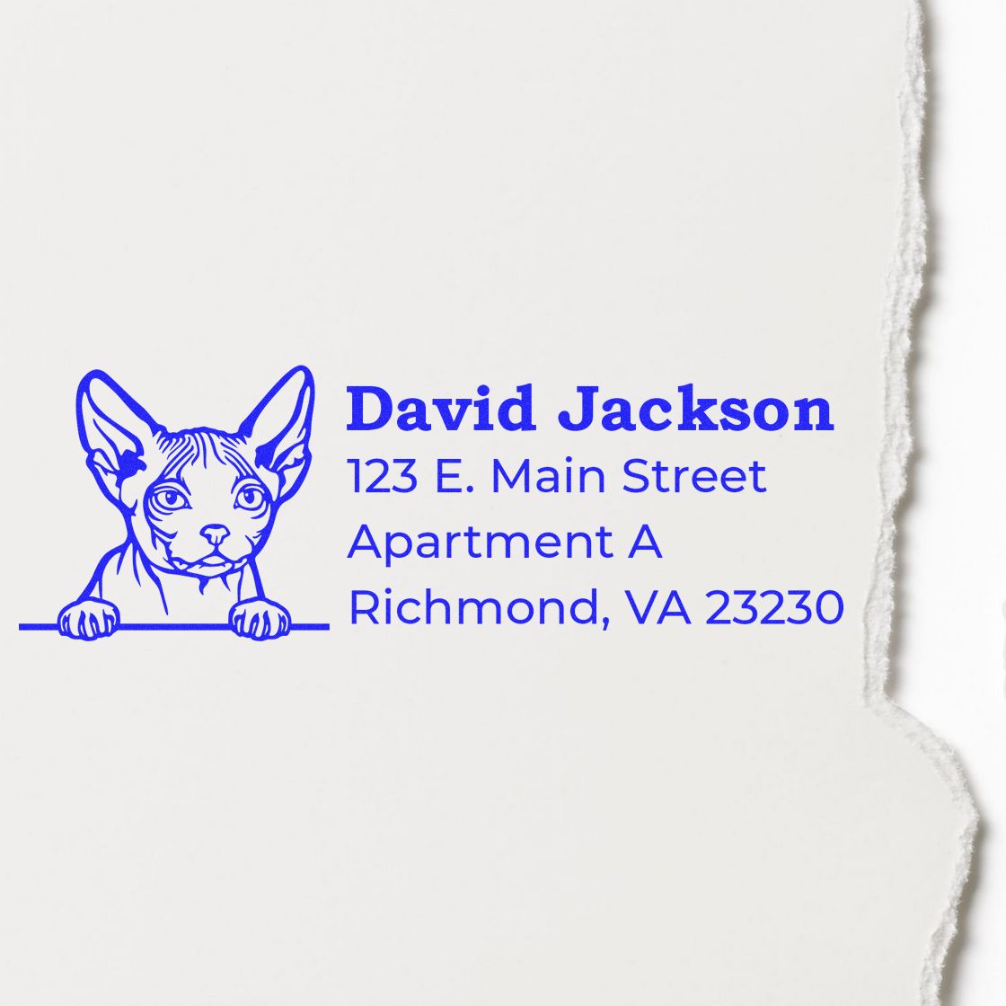 Wood Handle Minskin Cat Address Stamp on paper, featuring a blue Minskin cat illustration with sample address text: David Jackson, 123 E. Main Street, Apartment A, Richmond, VA 23230.