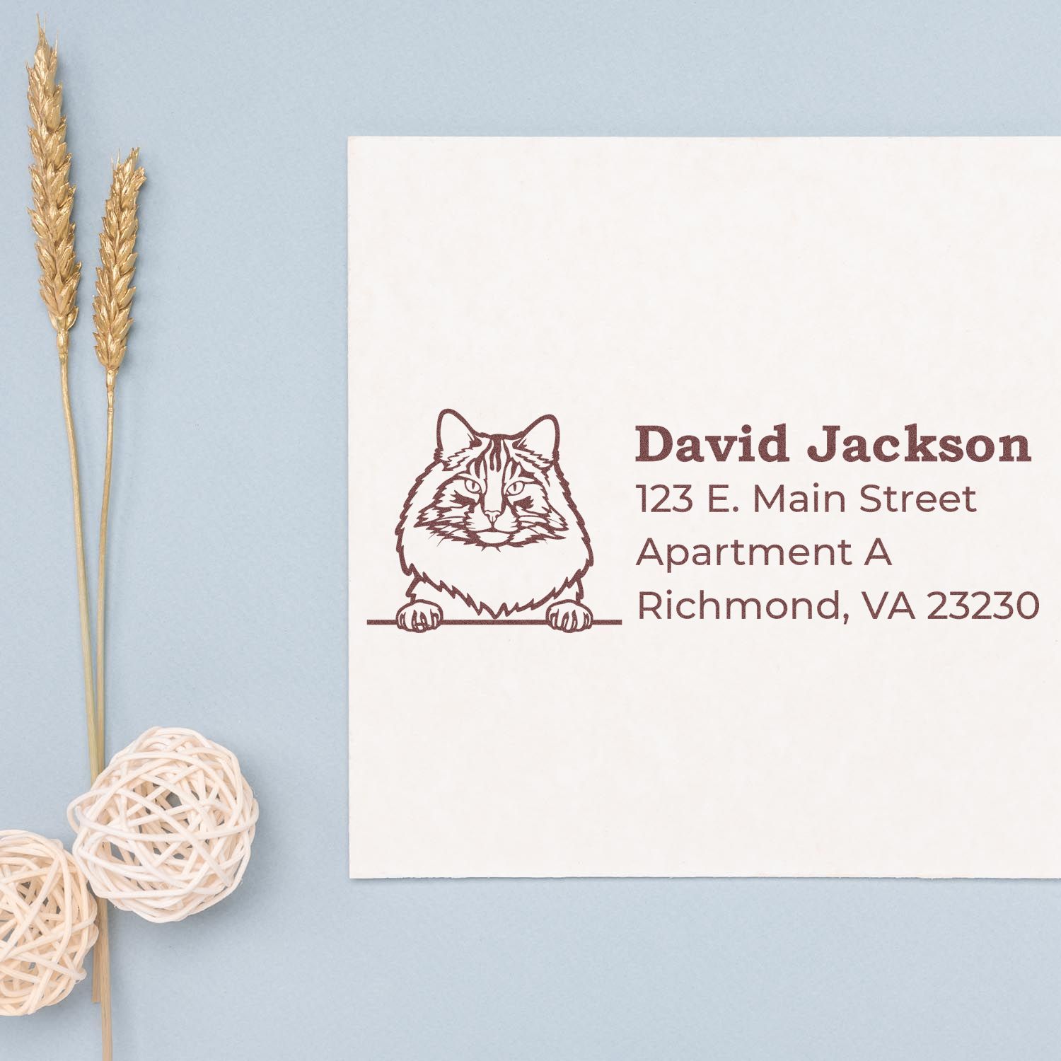 Self-Inking Norwegian Forest Cat Custom Address Stamp on a letter, featuring a cat illustration and sample address. Displayed on a light blue background with decorative elements.