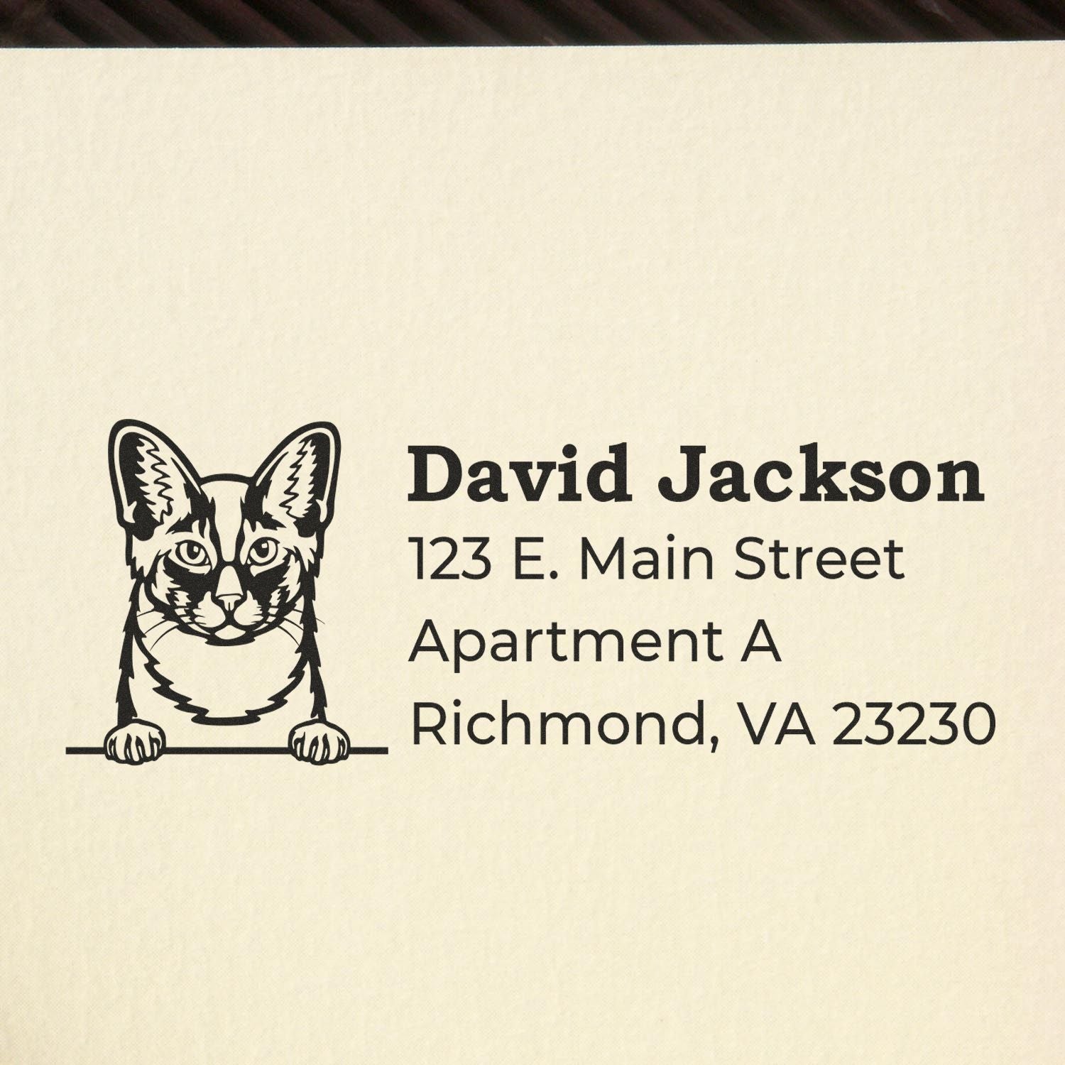 Self-Inking Oriental Longhair Custom Address Stamp featuring a cat design with the name David Jackson and address details on a beige background. Perfect for personalized mail and stationery.