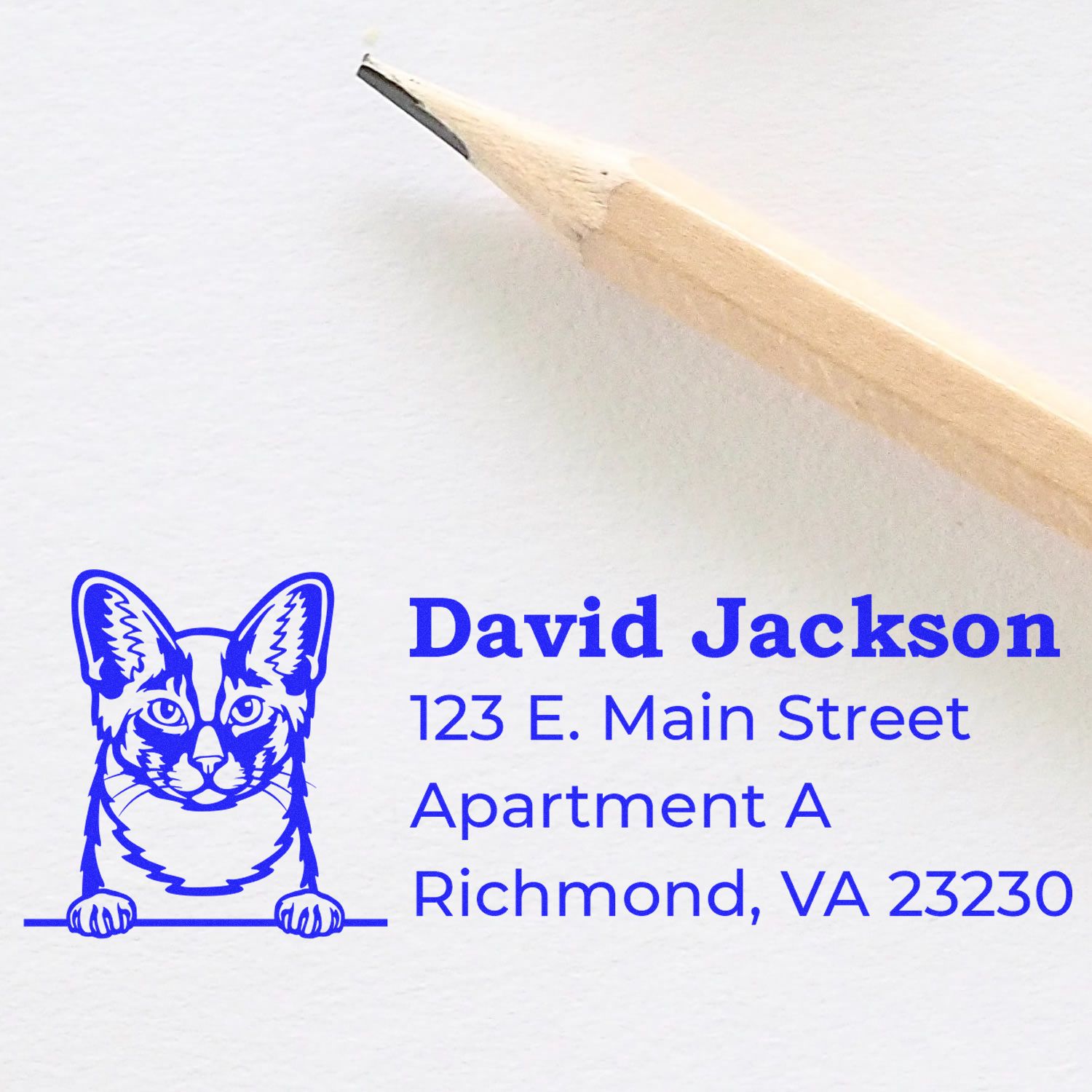 Slim Pre-Inked Oriental Longhair Peeking Cat Return Address Stamp next to a pencil on white paper, featuring a blue cat illustration and sample address text.