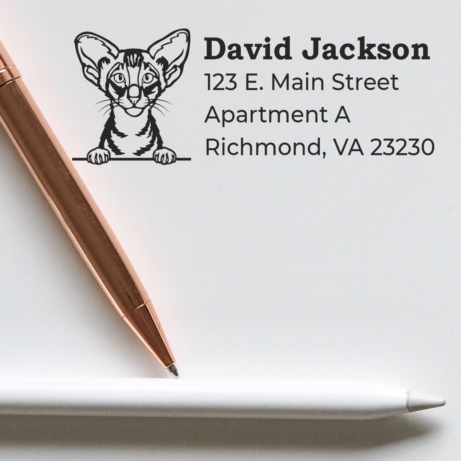 Wood Handle Oriental Shorthair Cat Address Stamp on white paper, featuring a cat illustration and sample address. Two pens are placed nearby for scale and context.