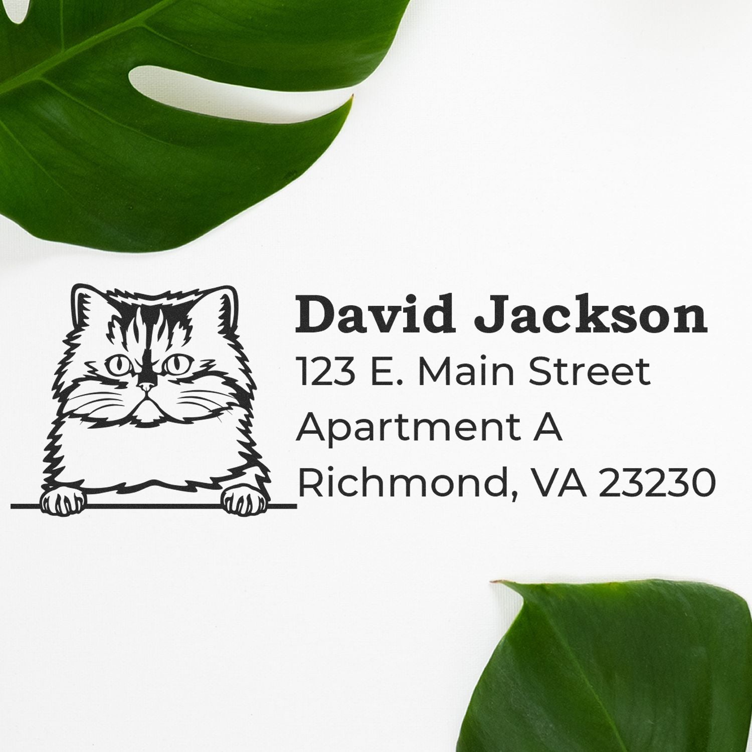 Self-Inking Persian Custom Address Stamp featuring a cute Persian cat design, personalized with the name David Jackson and address, surrounded by green leaves on a white background.