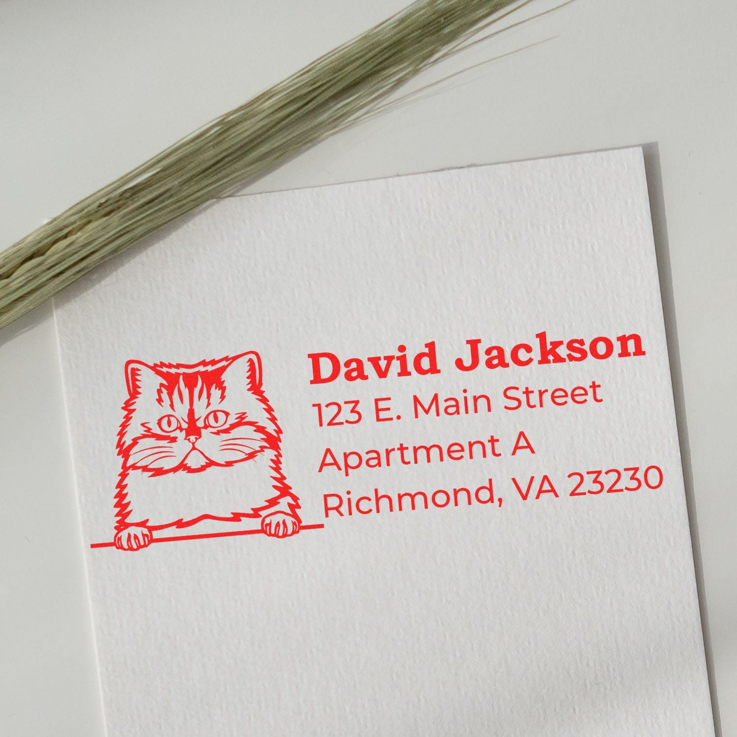 Wood Handle Persian Cat Address Stamp on white paper, featuring a red Persian cat illustration and sample address text. A sprig of dried grass lies beside the paper.