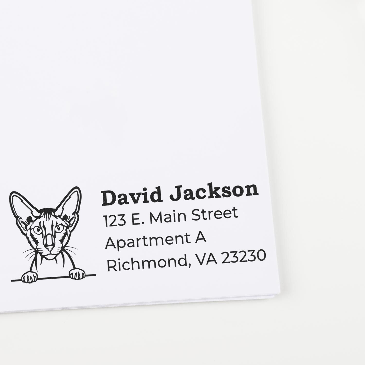 PSI Pre-Inked Peeking Peterbald Cat Personalized Address Stamp on white paper, featuring a cat illustration and sample address text in bold, clear font.