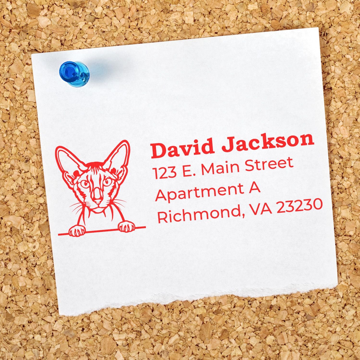 Slim Pre-Inked Peterbald Peeking Cat Return Address Stamp on a corkboard, featuring a cute cat illustration and red text with a sample address.