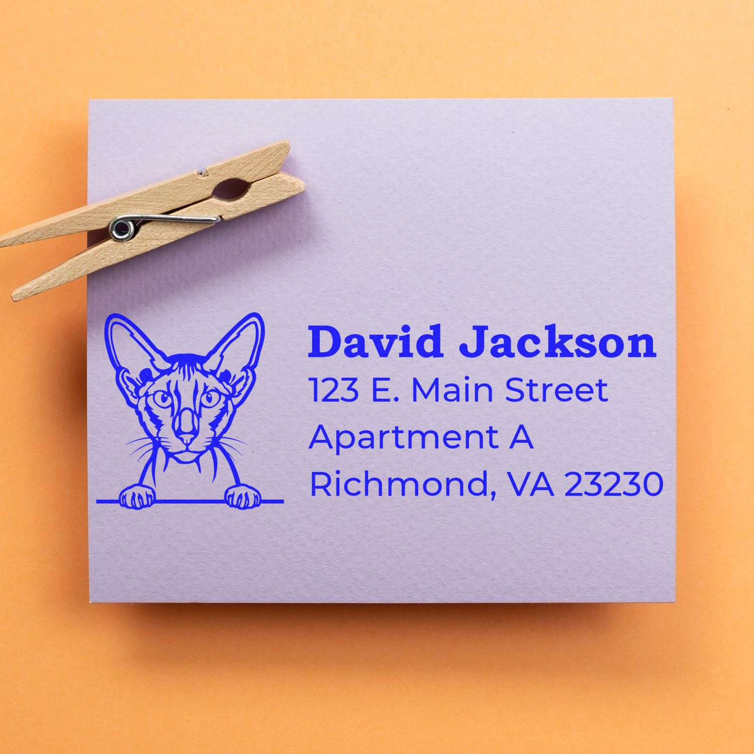 PSI Pre-Inked Peeking Peterbald Cat Personalized Address Stamp on a purple envelope with a wooden clip, featuring a blue cat illustration and sample address text.