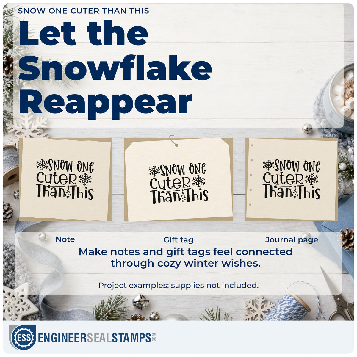 Three project examples made with the PSI Pre-Inked Snow One Cuter Than This Stamp, including session plan sheet.