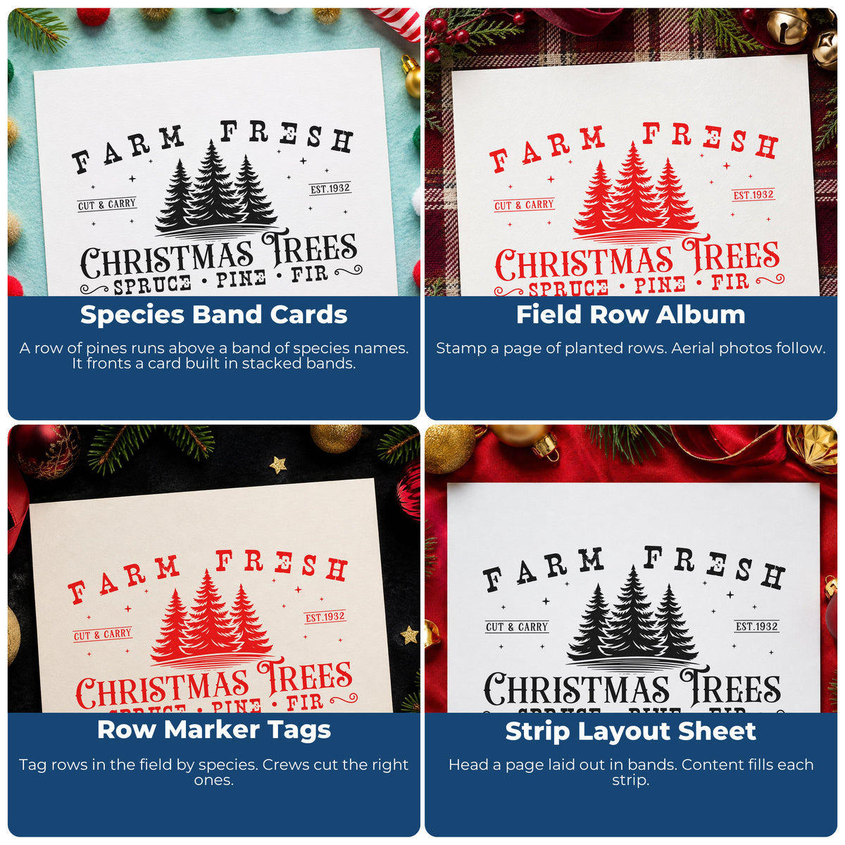 Four ways to use the Farm Fresh Spruce Pine Fir Rubber Stamp – Wood Handle: species band cards, field row album, row marker tags and strip layout sheet.
