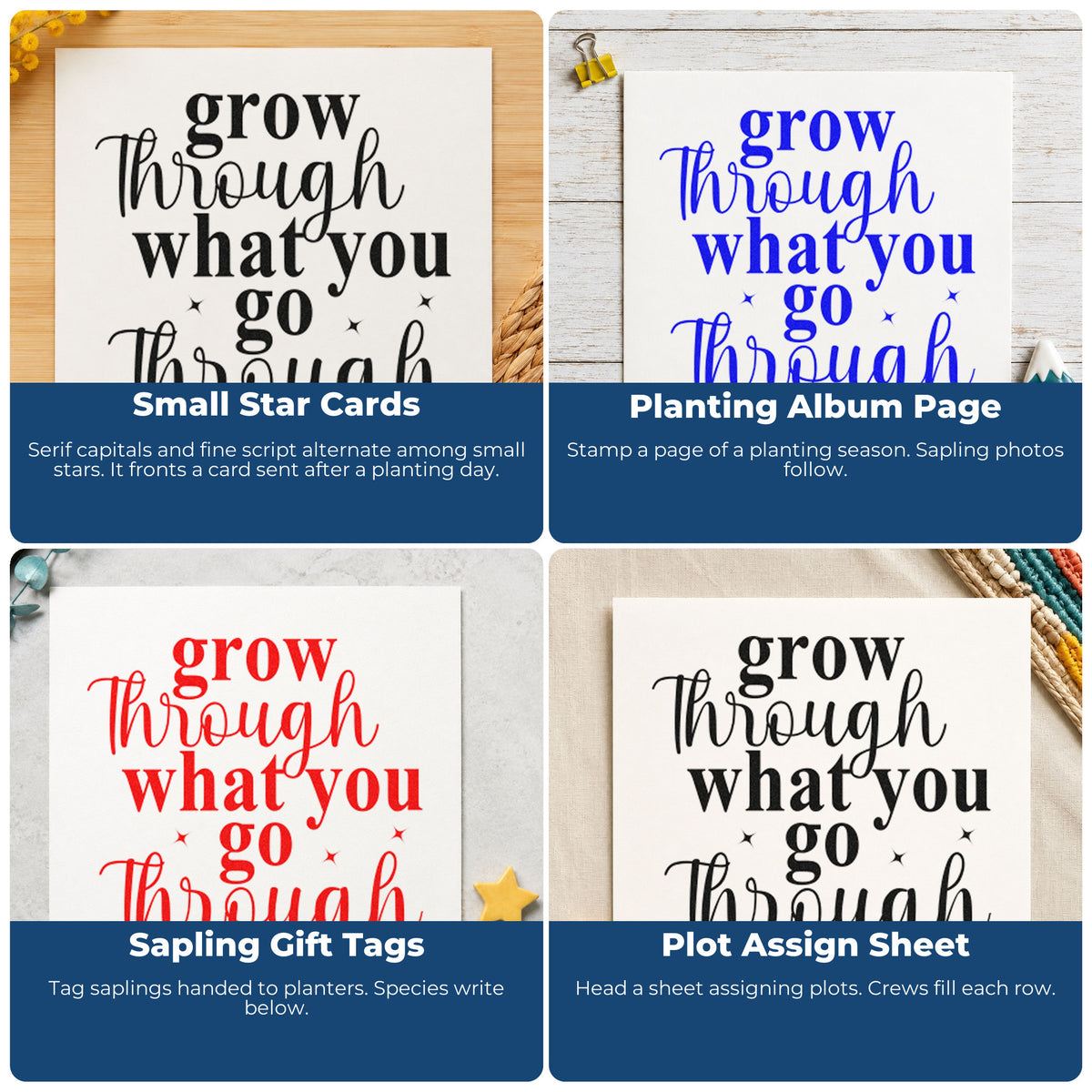 Four ways to use the Grow Through What You Go Through With Stars Stamp - Premium Vintage Pro Wooden: small star cards, planting album page, sapling gift tags and plot assign sheet.