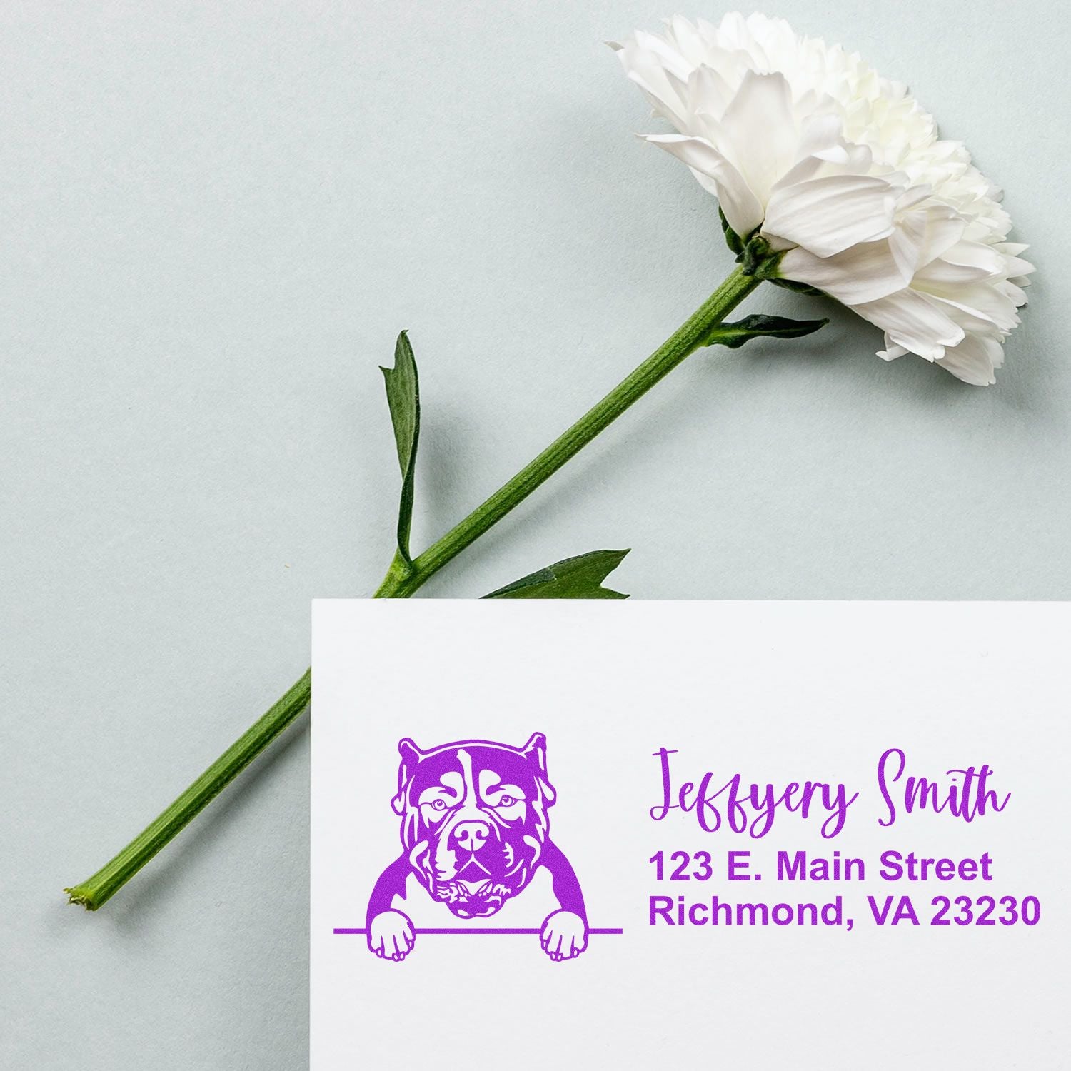 Peeking American Bulldog Name and Address Rubber Stamp