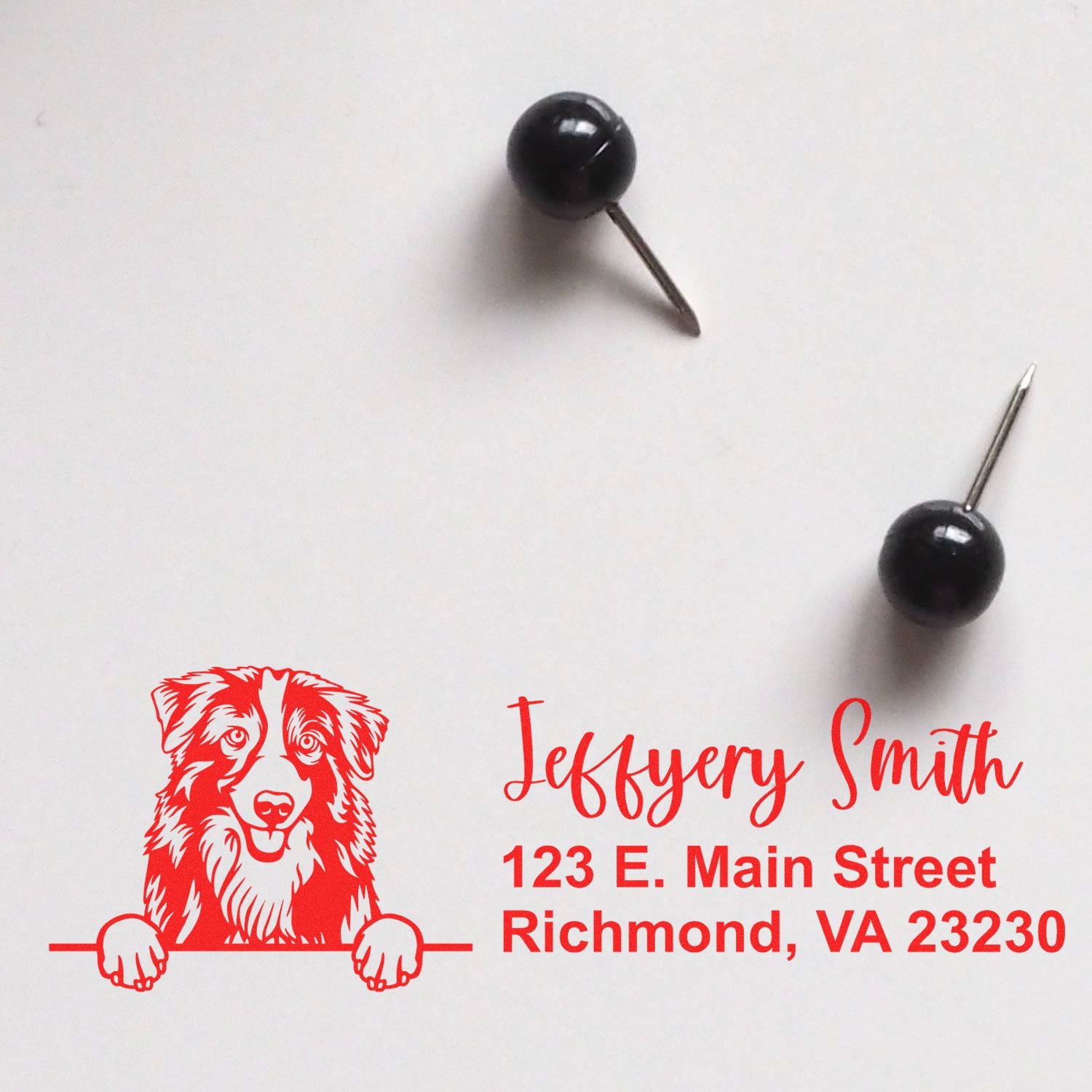 Peeking Australian Shepherd Name and Address Rubber Stamp