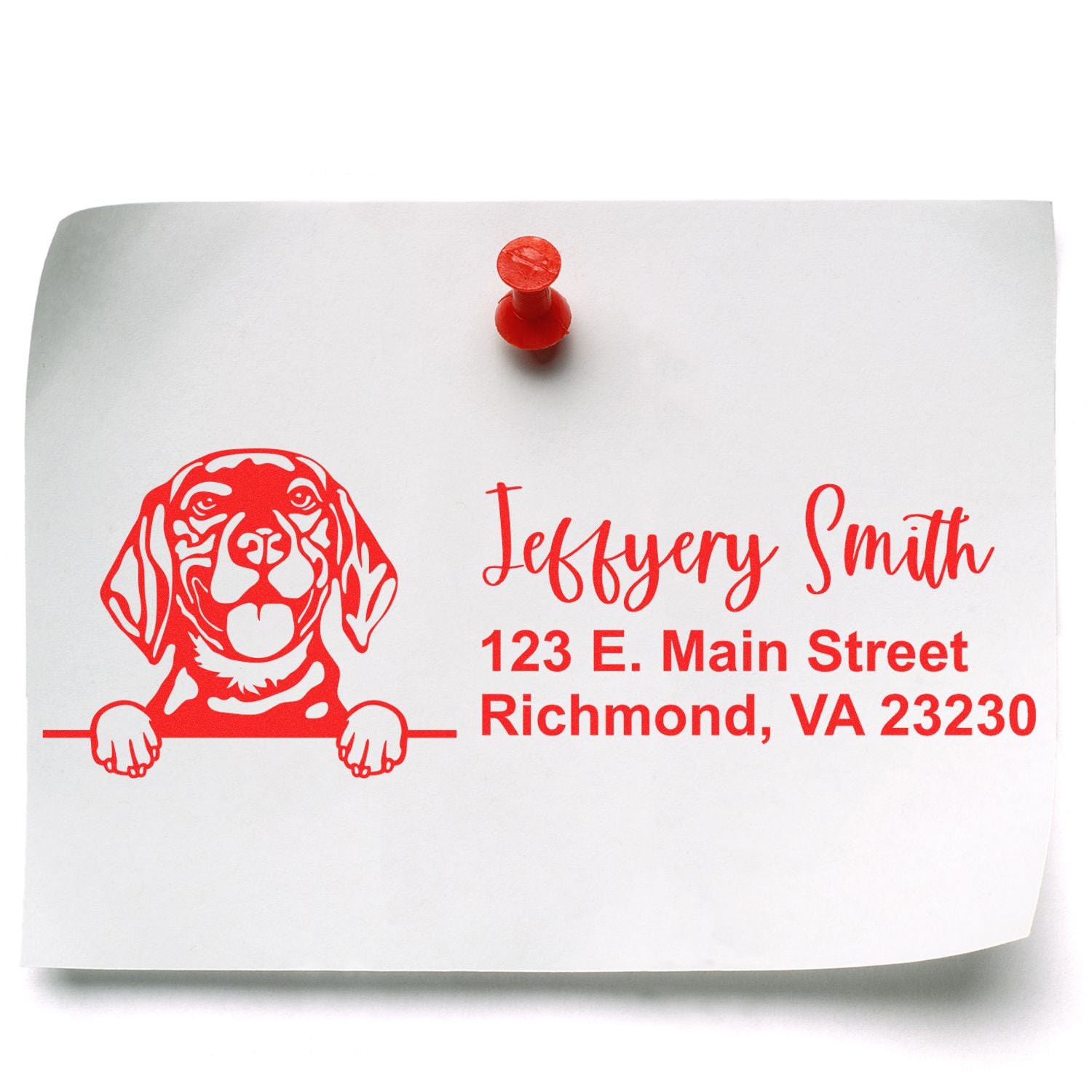 Peeking Beagle Name and Address Rubber Stamp