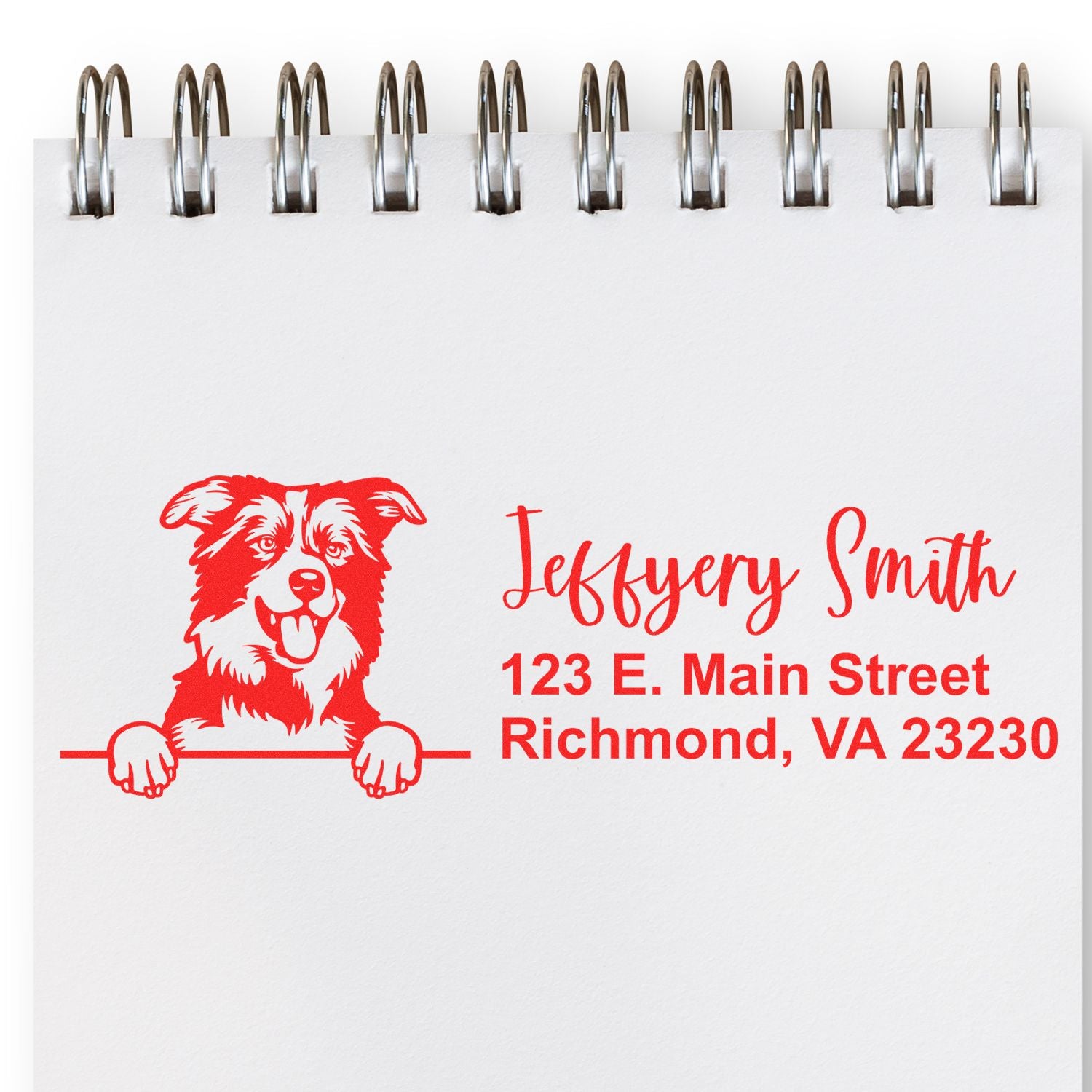 Peeking Border Collies Name and Address Rubber Stamp