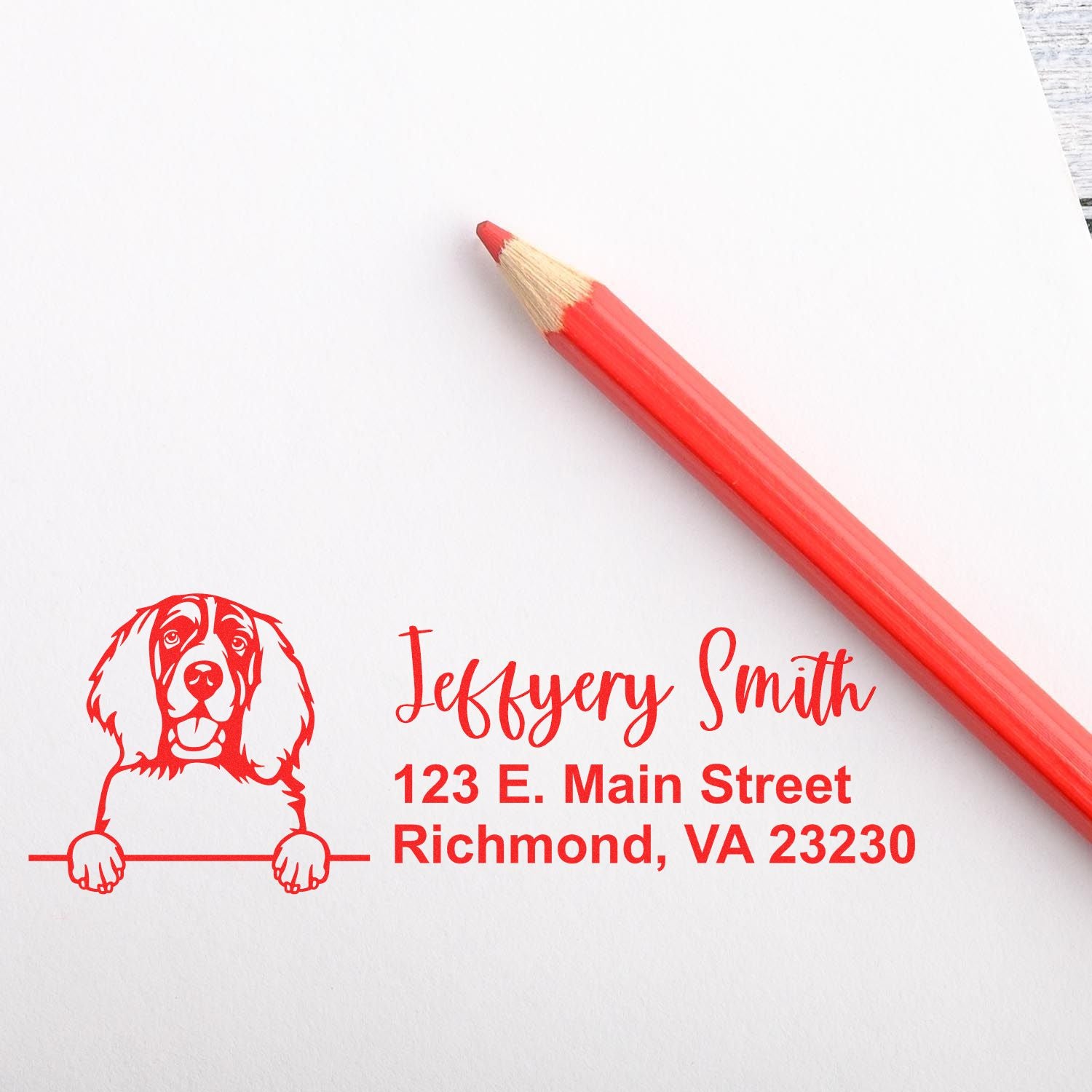 English Springer Spaniel Name and Address Stamp Self-Inking