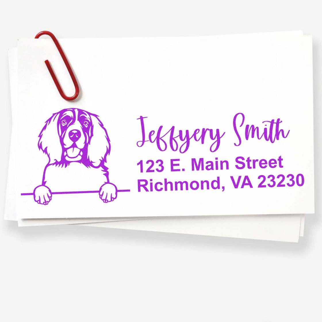 Peeking English Springer Spaniel Name and Address Rubber Stamp