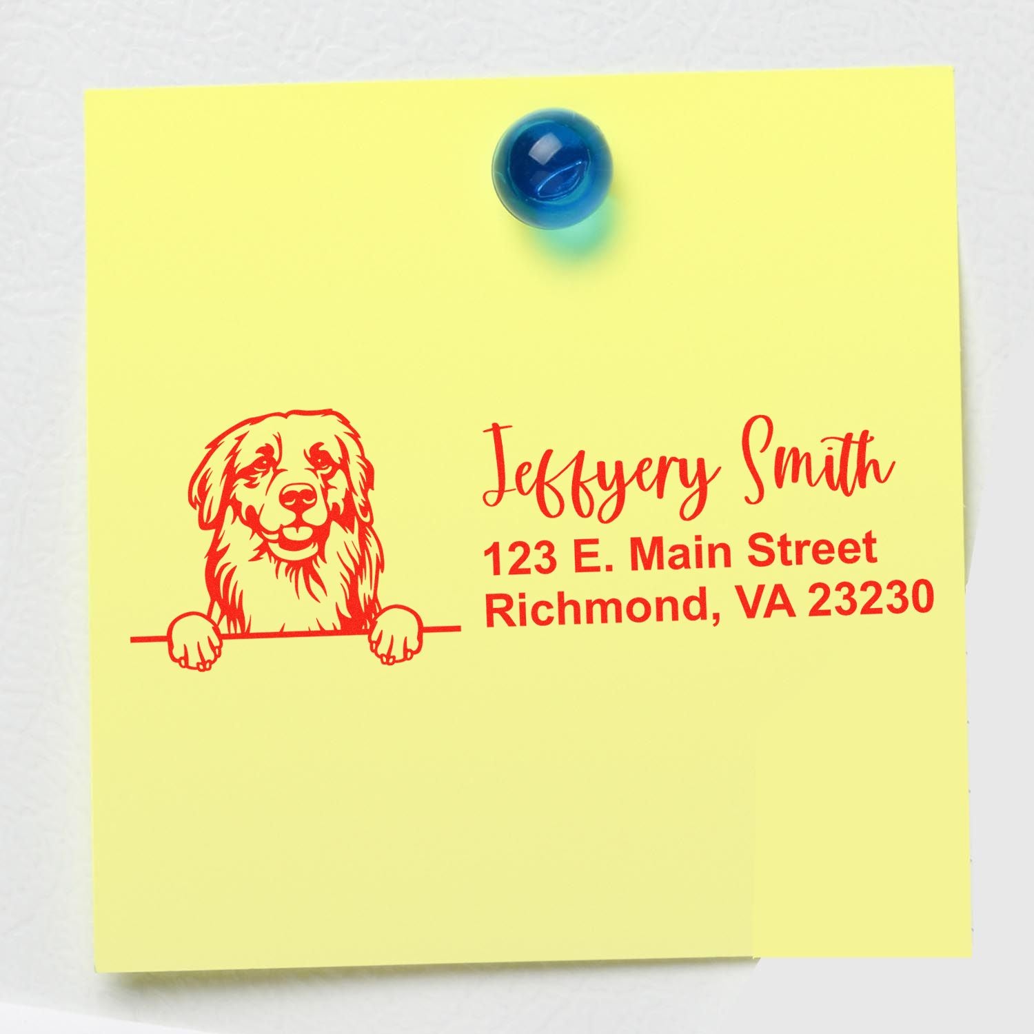 Peeking Golden Retriever Name and Address Rubber Stamp