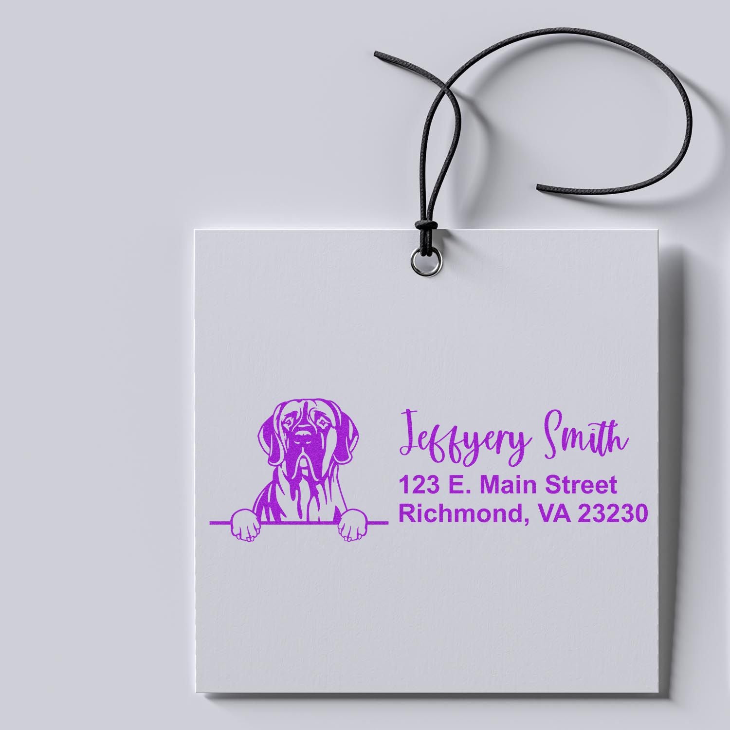 Peeking Great Dane Name and Address Rubber Stamp