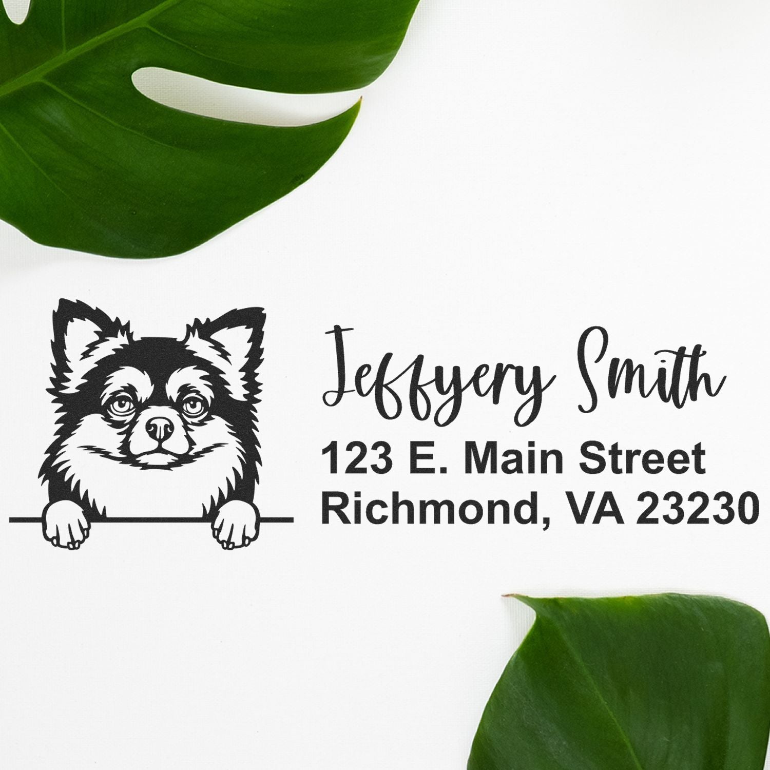 Peeking Long Haired Chihuahua Name and Address Rubber Stamp