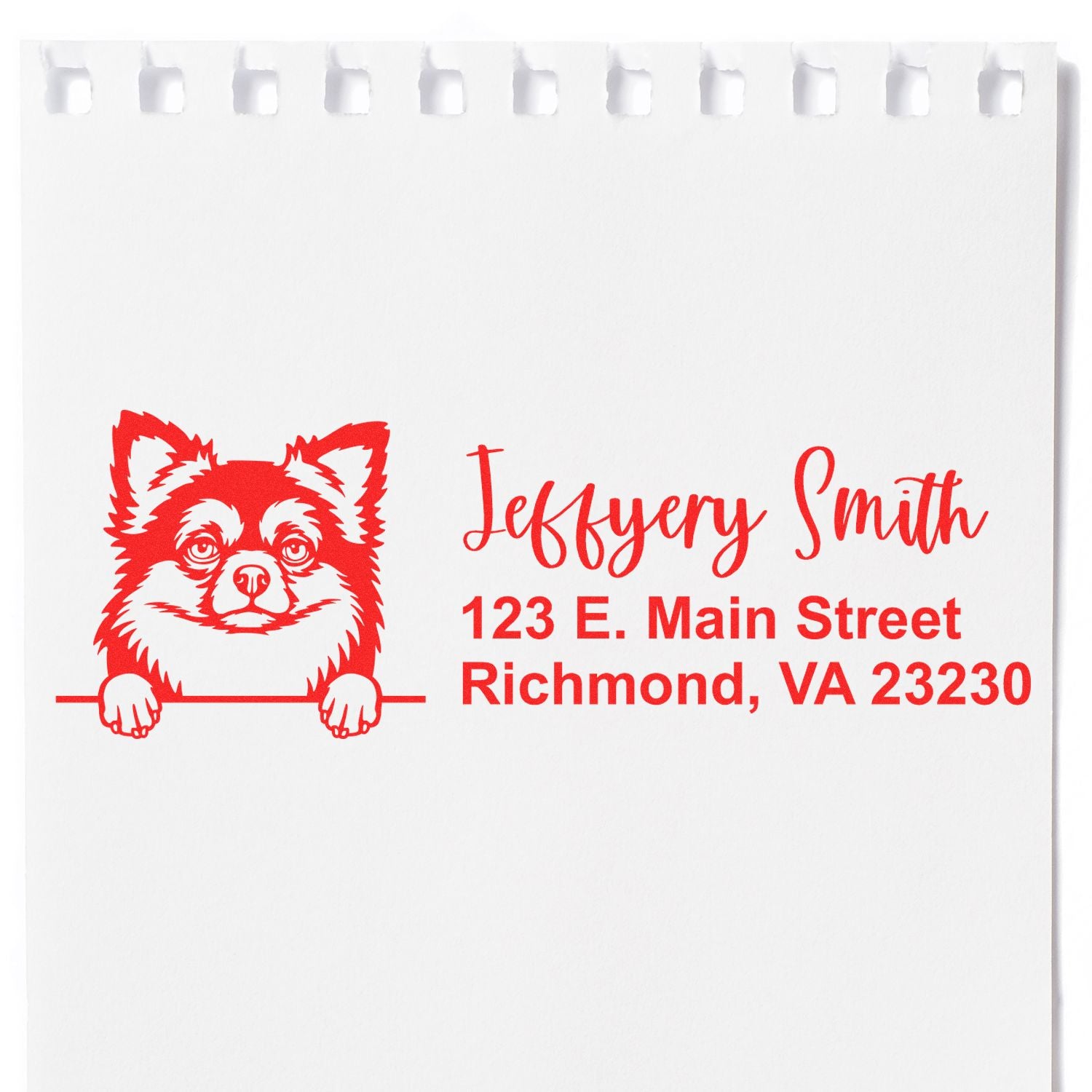 Peeking Long Haired Chihuahua Name and Address Rubber Stamp