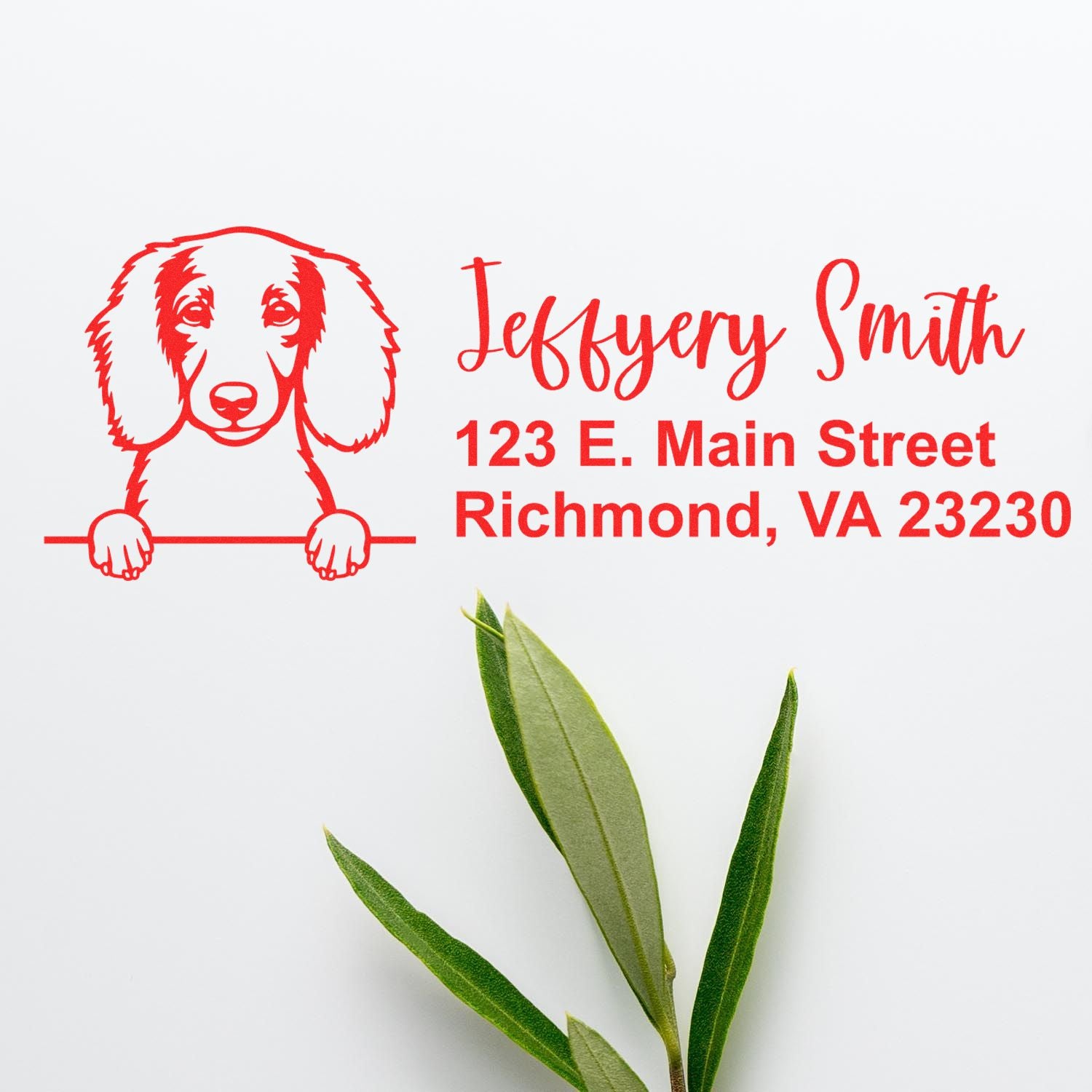 Pre-Inked Longhaired Dachshund Dog Personalized Address Stamp