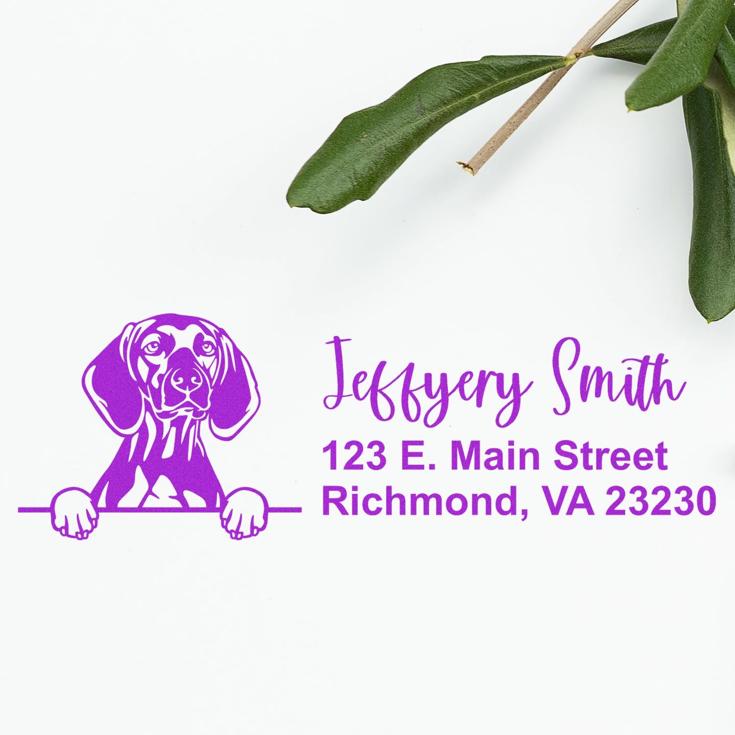 Peeking Vizslas Name and Address Rubber Stamp