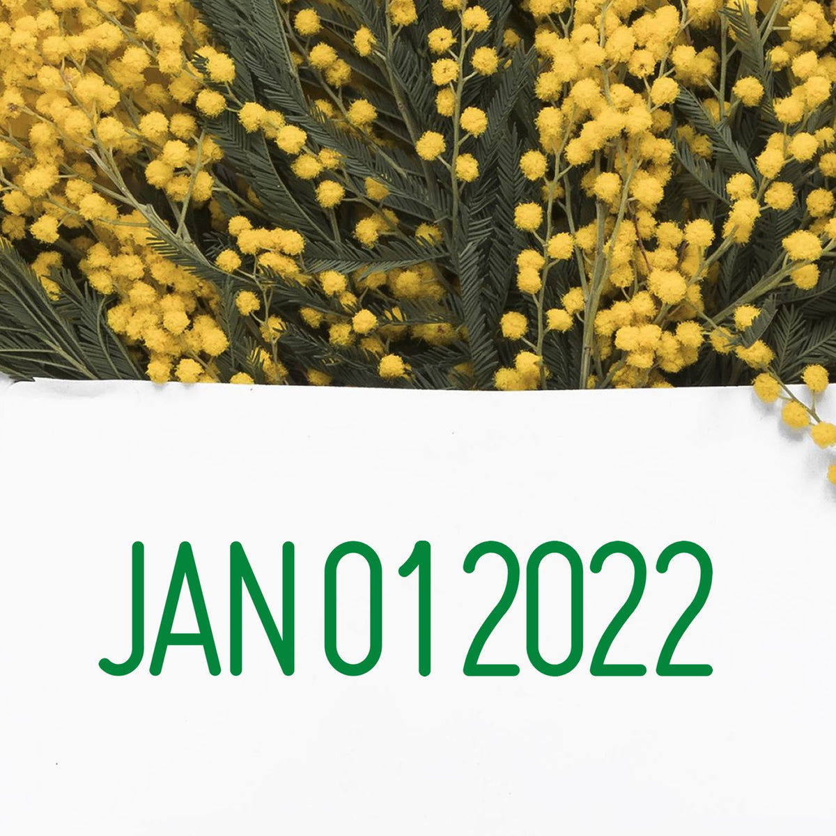 Green JANO12022 stamp and seal on white card, framed by yellow mimosa blooms and gray-green leaves.