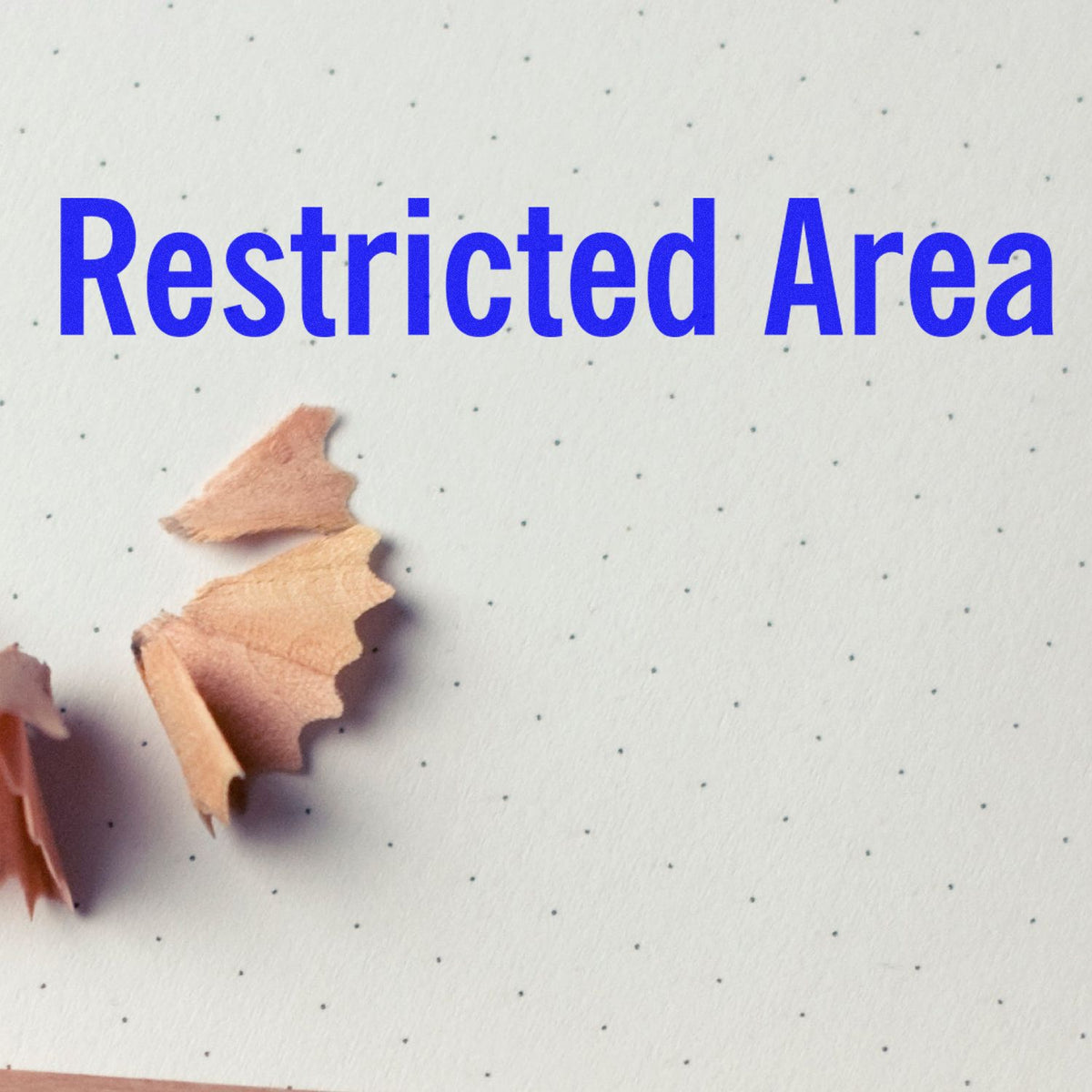 Large Self-Inking Restricted Area Stamp In Use Photo