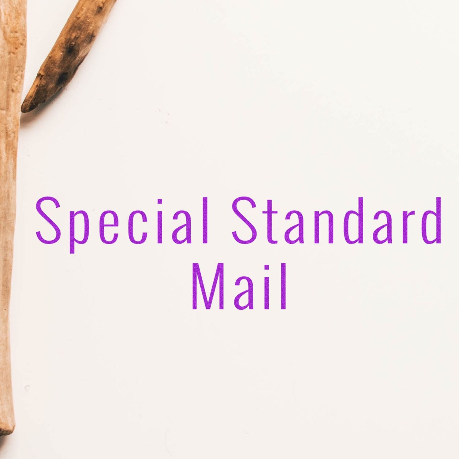 Image of the Large Pre-Inked Special Standard Mail Stamp imprinting the words Special Standard Mail in purple on a white background.