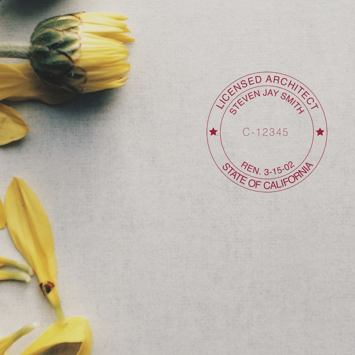 MaxLight XL2-535 Custom Pre-Inked Business Stamp 1-5/8 Diameter used on paper, surrounded by yellow flowers.