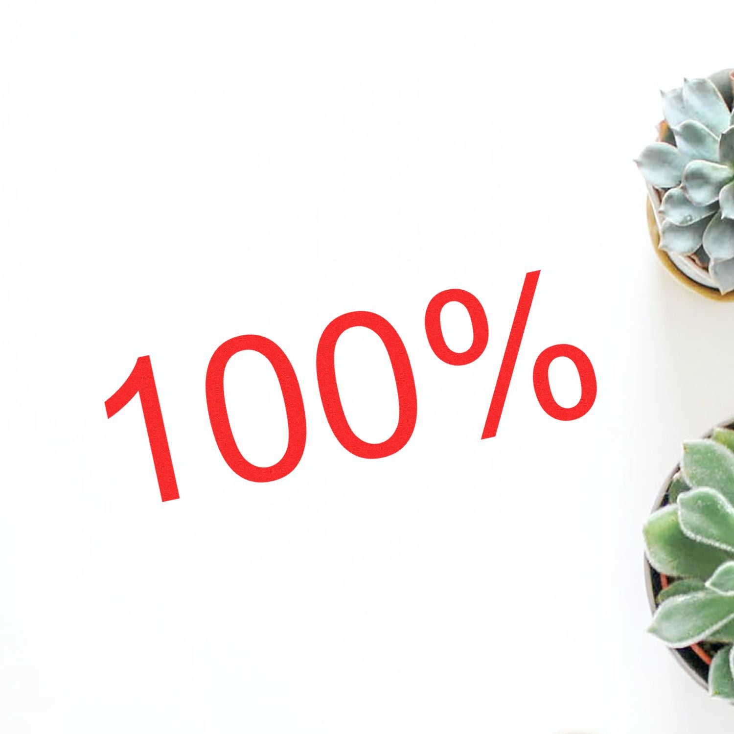 Red '100%' stamped on white paper using Slim Pre-Inked 100% Stamp, with succulent plants in the corners.