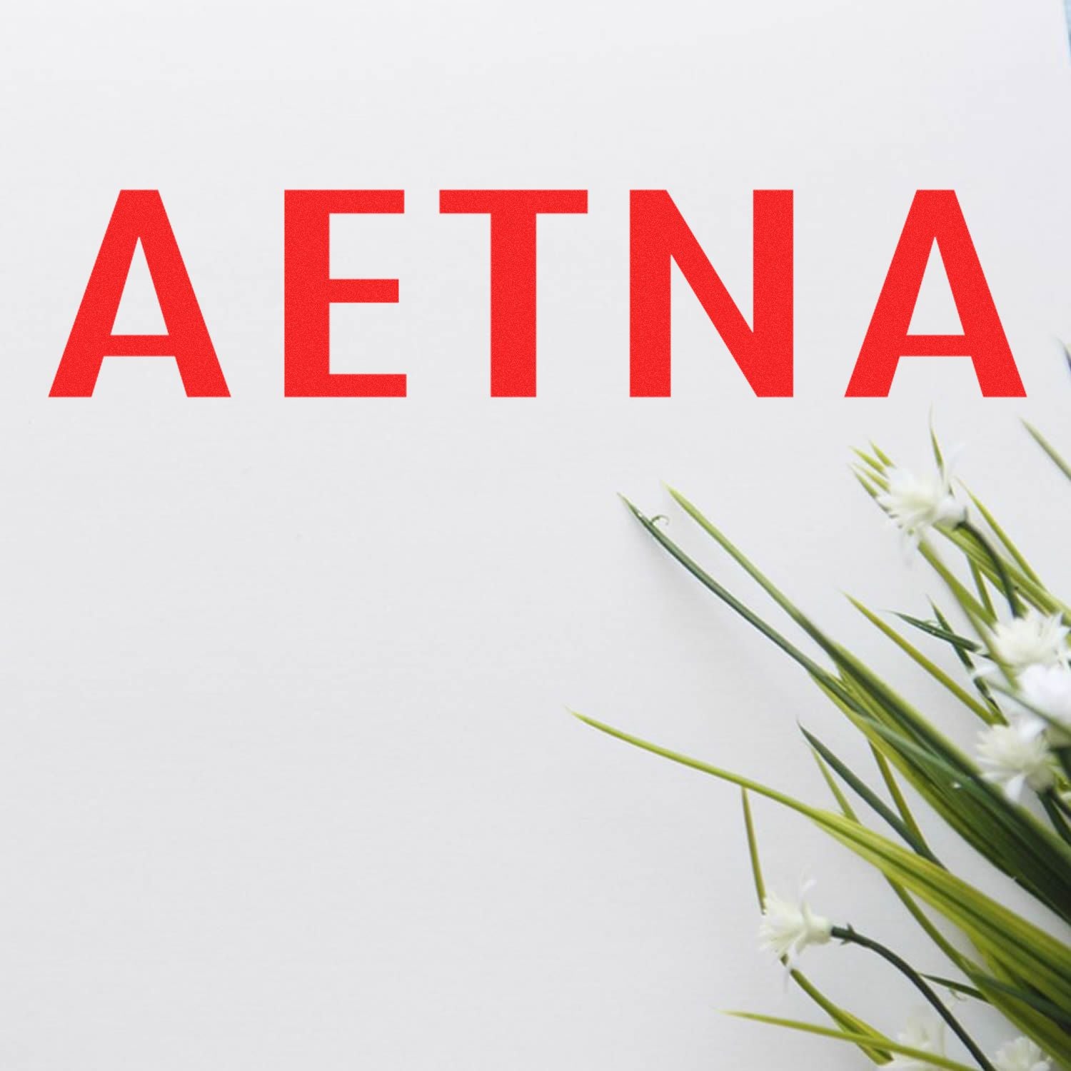 Medical Aetna rubber stamp in red ink on white paper with green and white flowers in the bottom right corner.