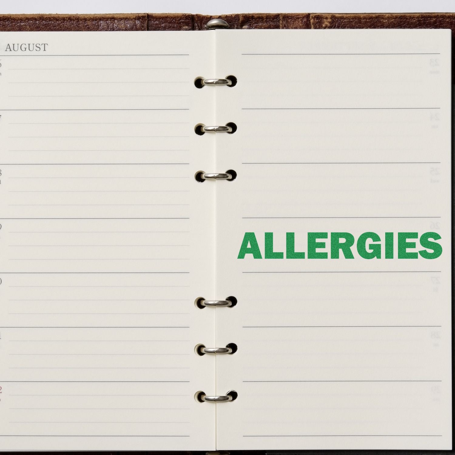 Large Pre-Inked Bold Allergies Stamp used on a planner, displaying the word ALLERGIES in green ink on a blank page.