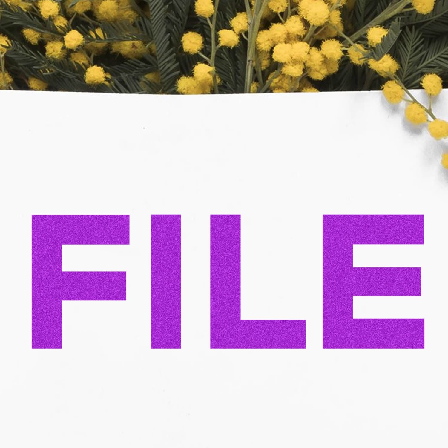 Slim Pre-Inked Bold File Stamp in purple ink on white paper, with yellow flowers in the background.