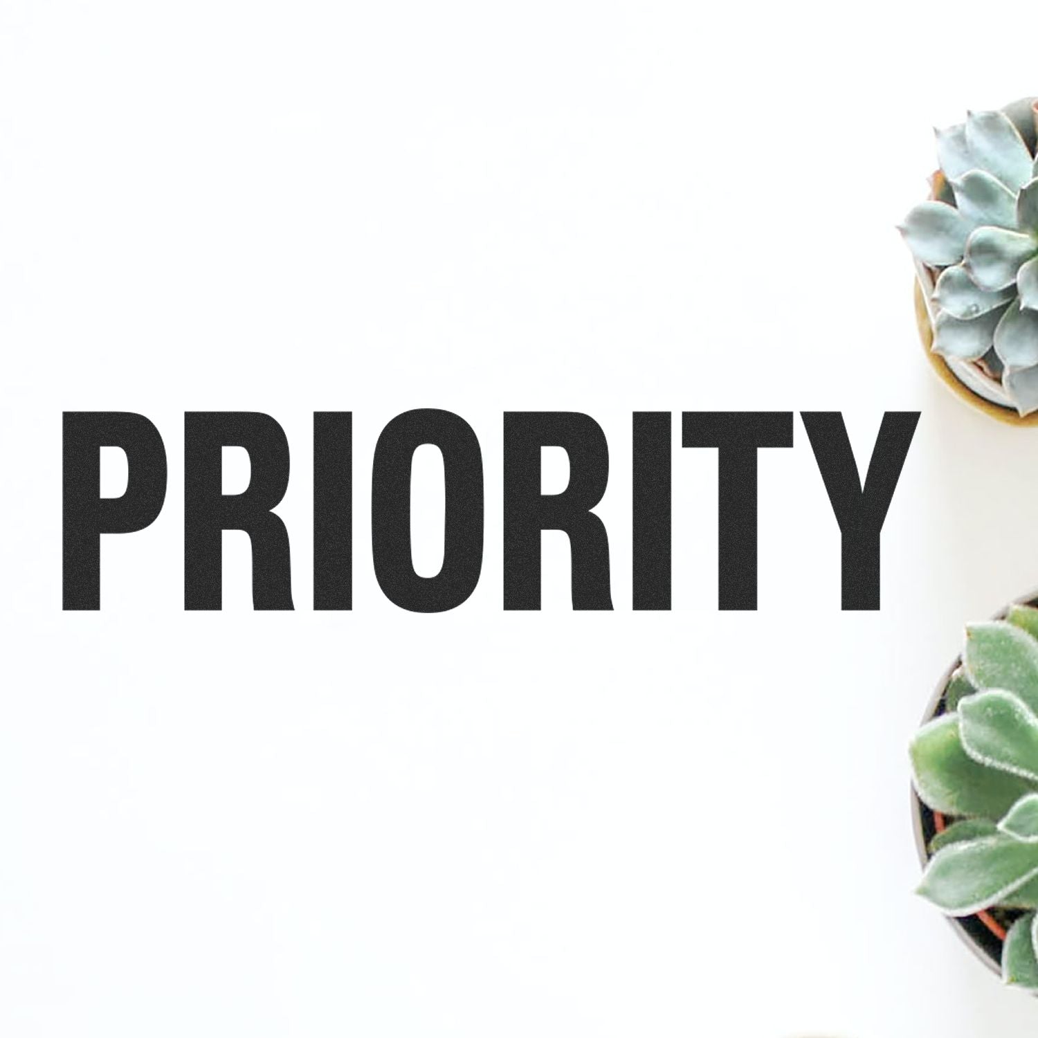 Large Bold Priority Rubber Stamp imprinting the word PRIORITY in black ink on white paper, with succulents in the background.