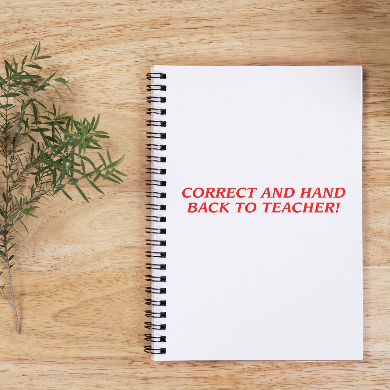 Large Correct And Hand Back To Teacher Rubber Stamp used on a spiral notebook, placed on a wooden surface with a small plant beside it.