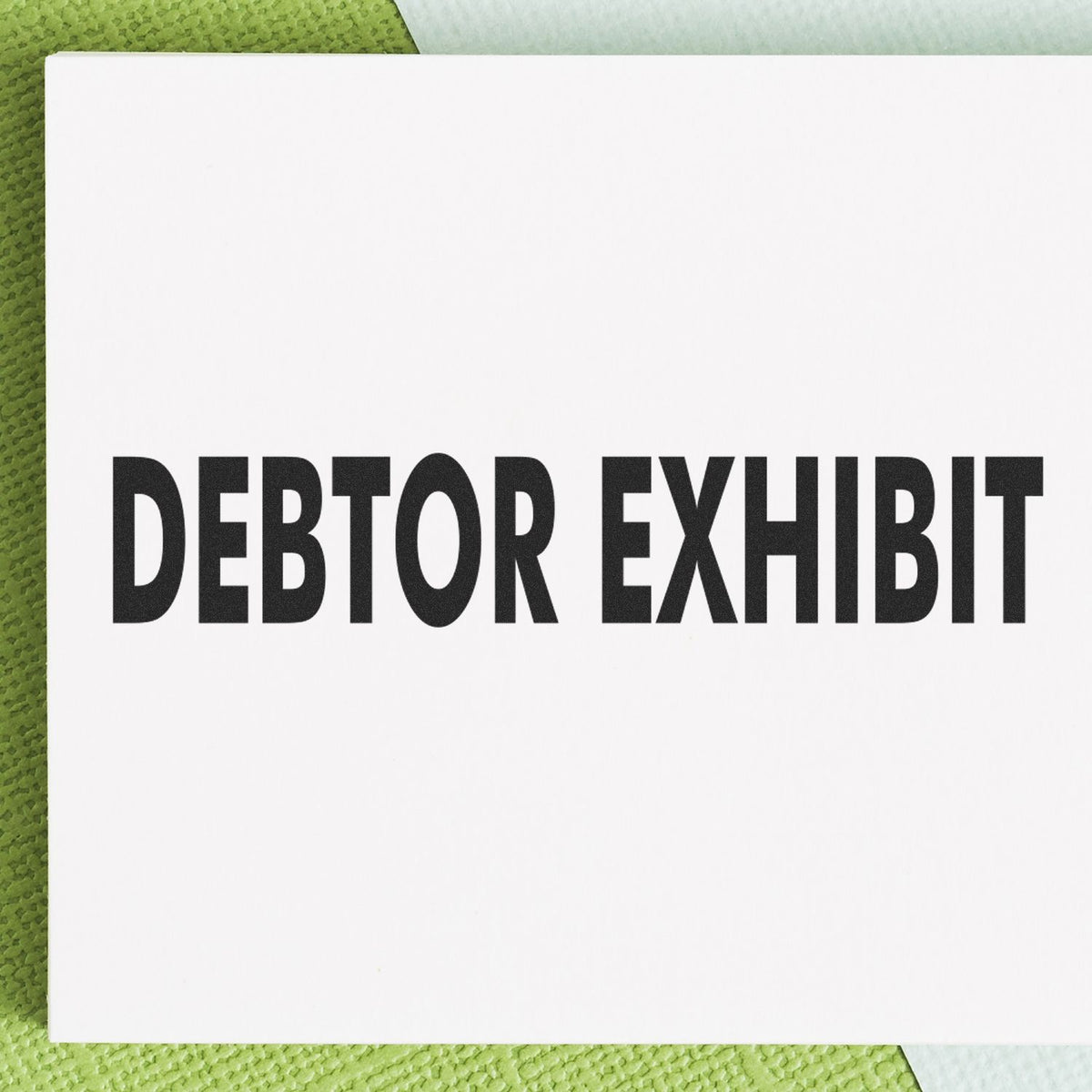 Debtor Exhibit Rubber Stamp Lifestyle Photo