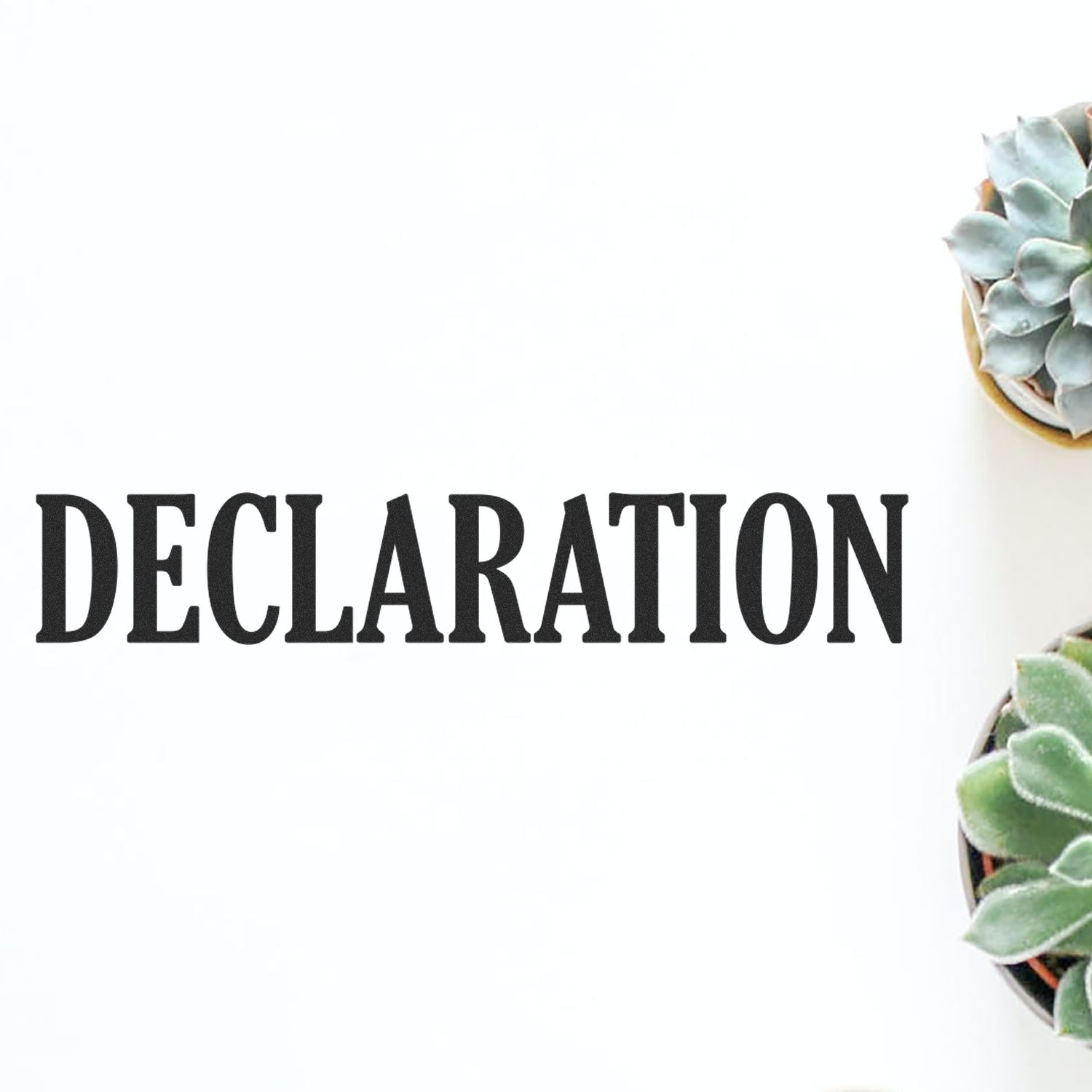 Self Inking Declaration Stamp imprint on paper with two potted succulents on the right side, showcasing the word 'DECLARATION' in bold text.