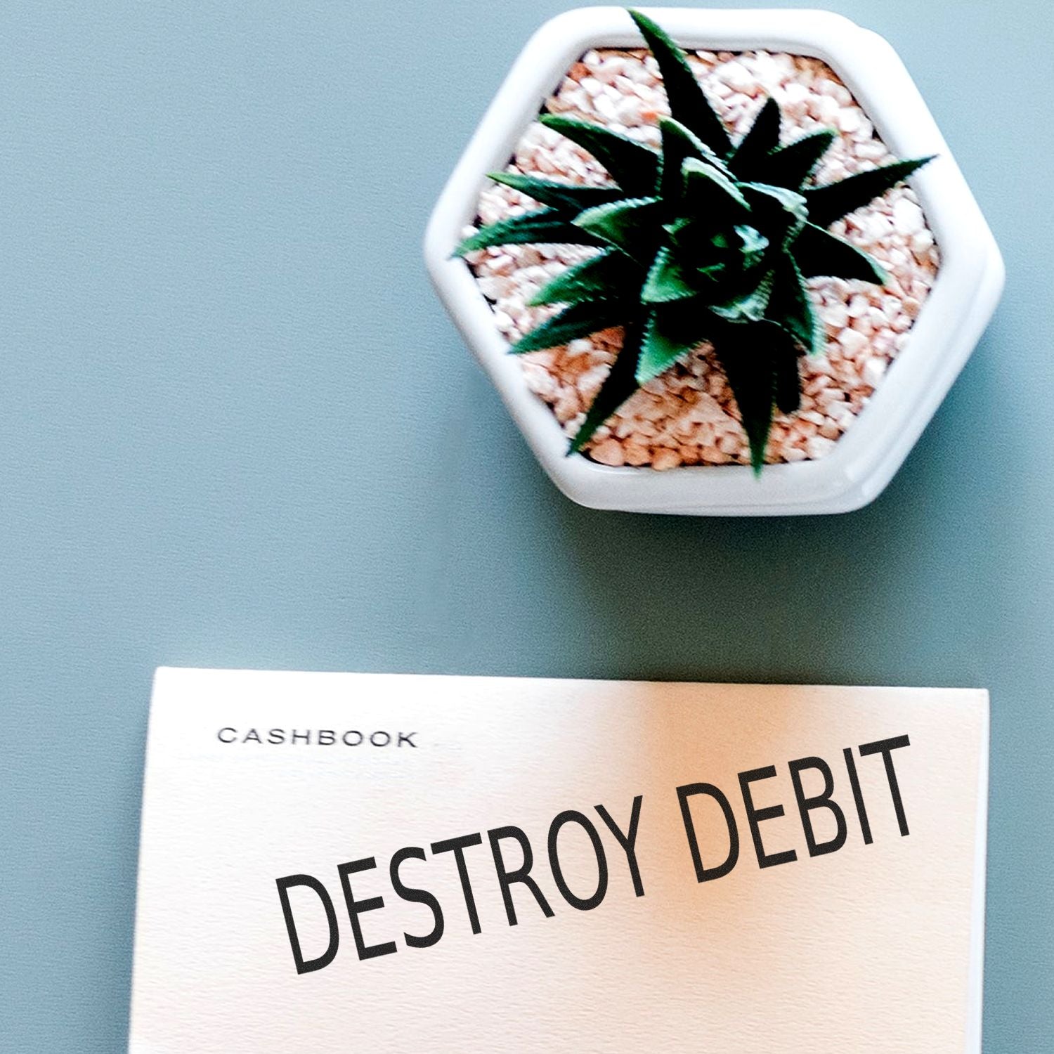 A Destroy Debit Rubber Stamp is used on a cashbook page, with a small potted succulent plant in the background.