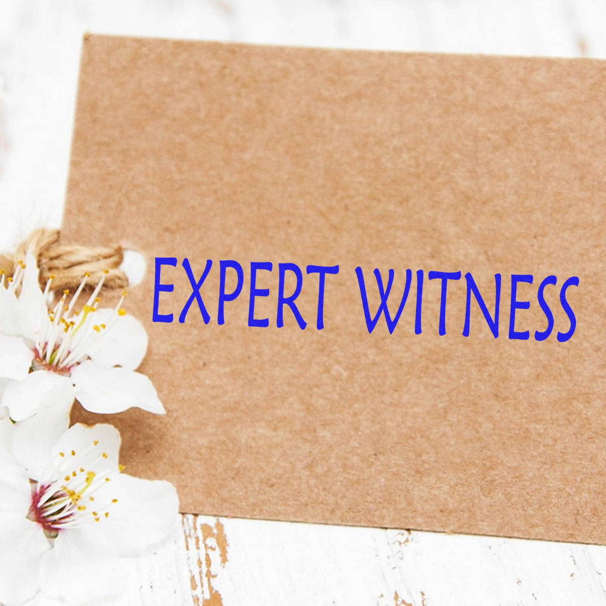 Large Expert Witness Rubber Stamp In Use Photo