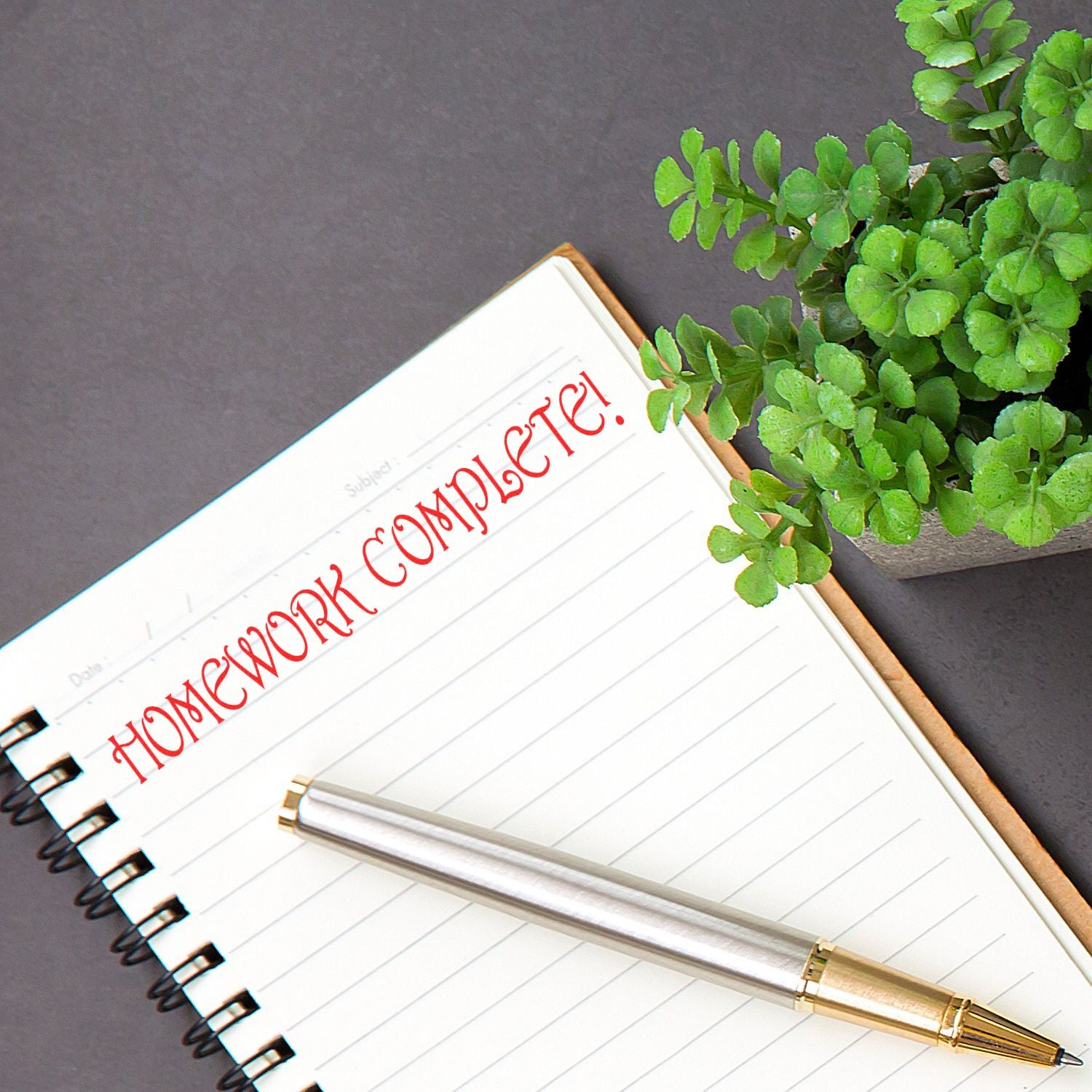 A notebook with HOMEWORK COMPLETE! stamped in red using the Homework Complete Rubber Stamp, next to a pen and a potted plant.