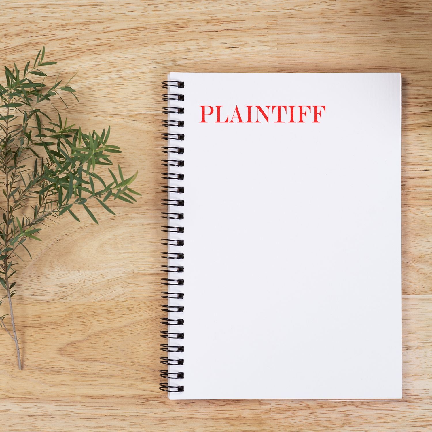 A Large Plaintiff Rubber Stamp marks PLAINTIFF in red on a white spiral notebook, placed on a wooden surface next to a green plant.